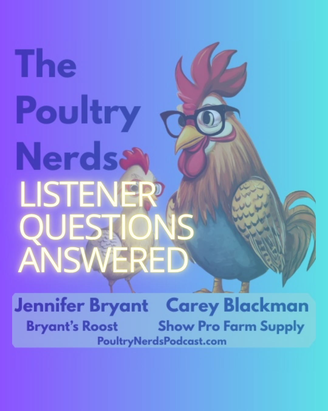 The Bloom, Dry Hatching, and Why Marans Eggs Are So Hard to Candle