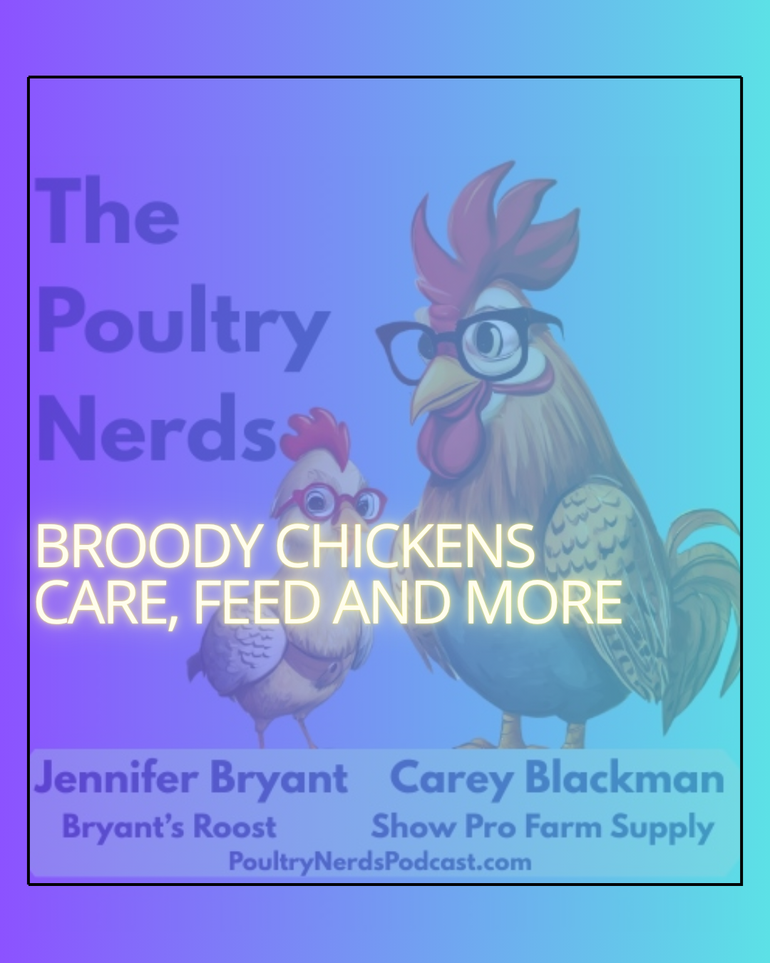 Broody Hens vs. Incubators: Two Ways to Hatch Chicks, Two Very Different Management Jobs