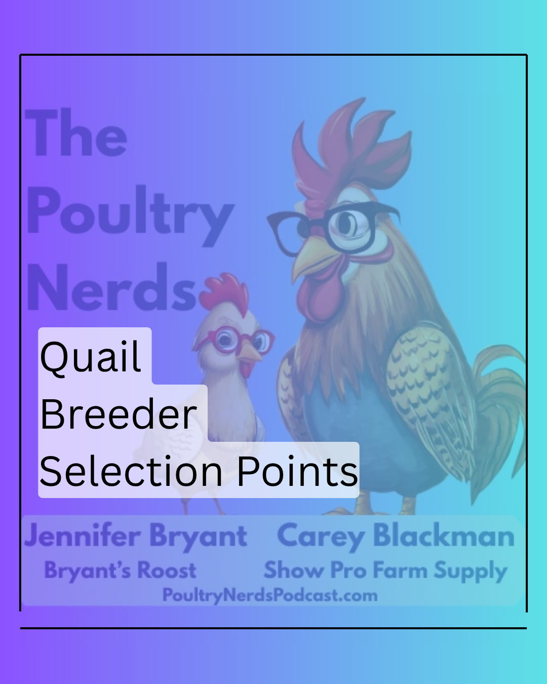 Quail Selection: How Small Decisions Shape Your Flock's Future