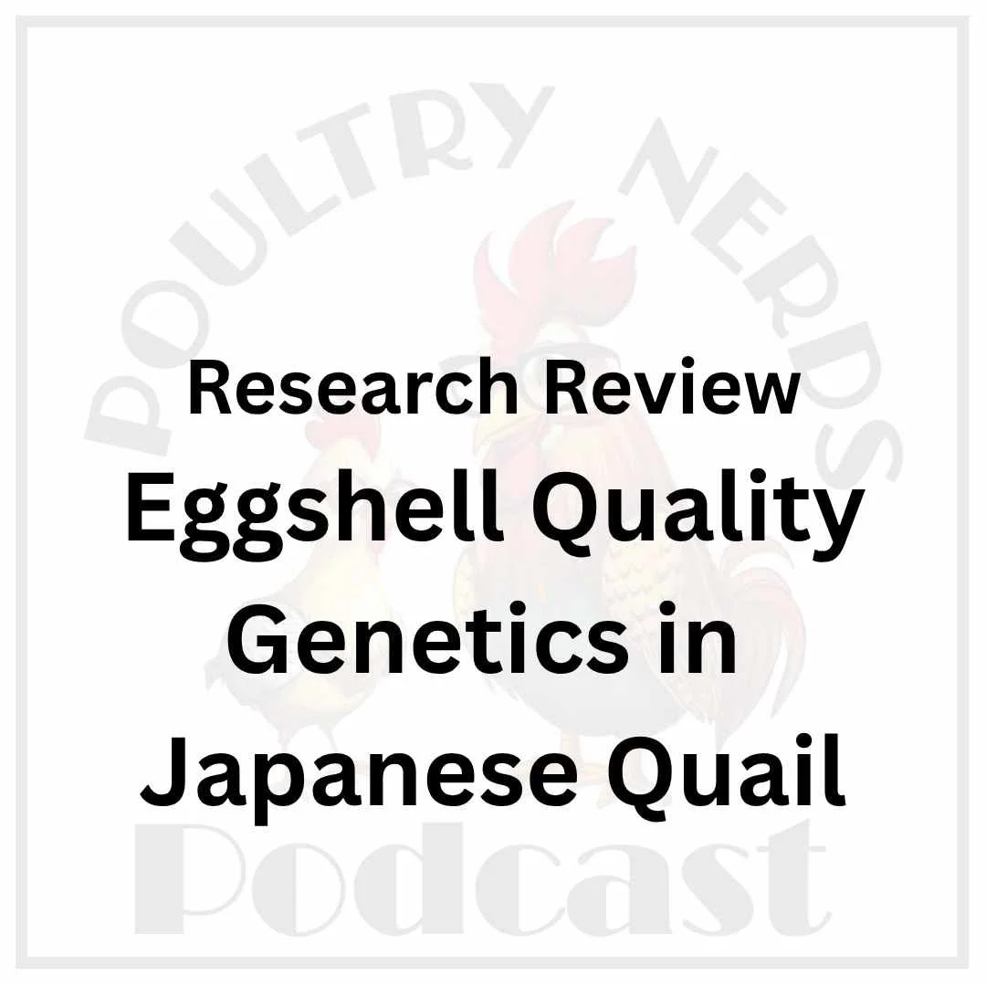 Eggshell Quality Genetics in Japanese Quail: Heritability and Breeding Research Review
