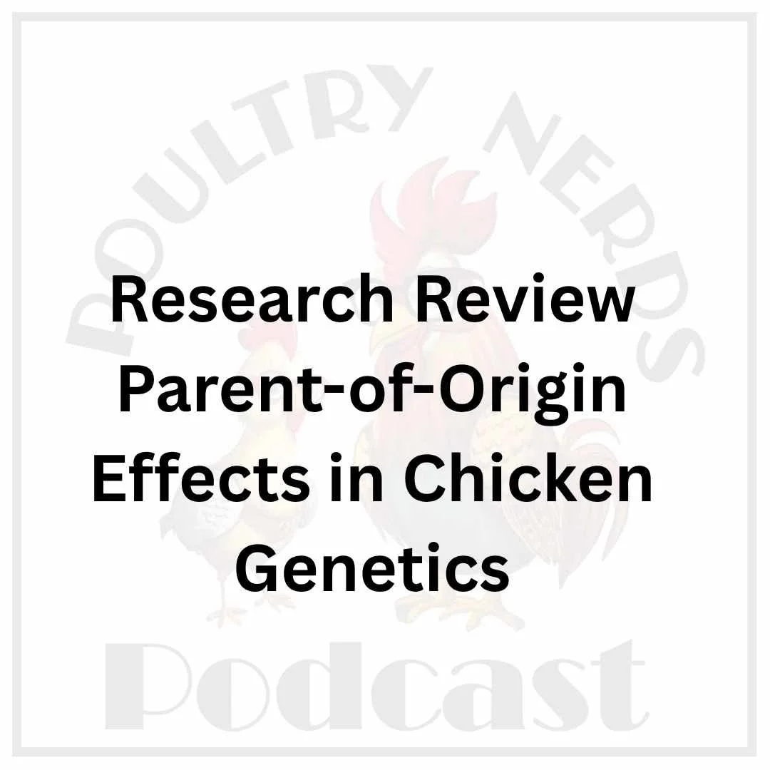 Parent-of-Origin Effects on Egg Production Traits in Chickens: A Research Review