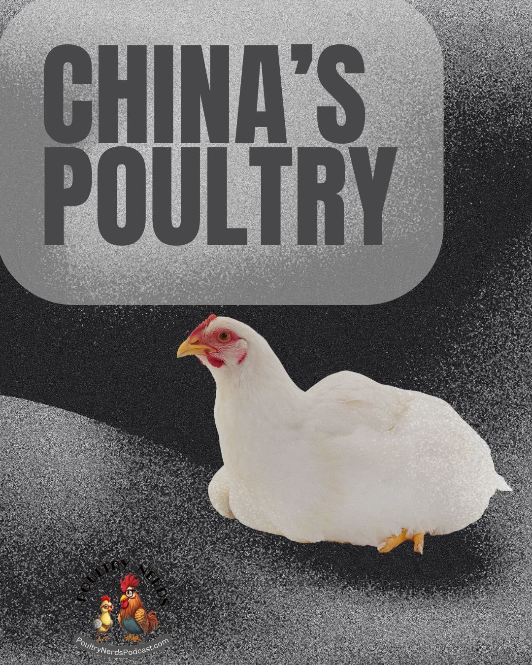 China Is Building Its Own Poultry Industry—What That Means for the Rest of the World