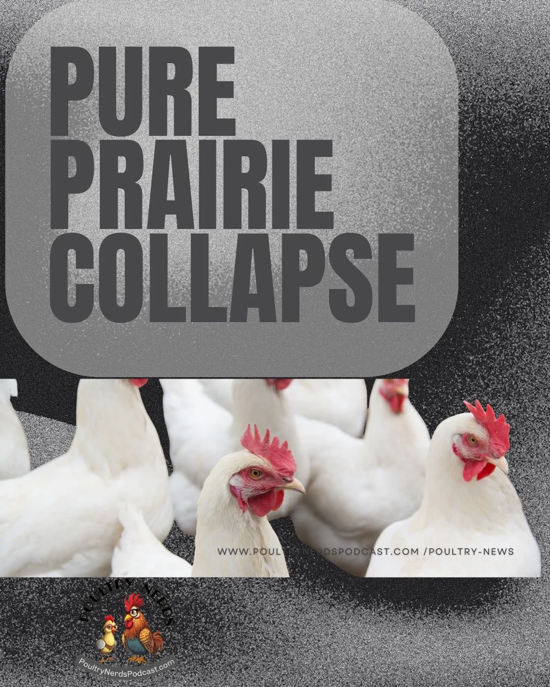When the Food Chain Breaks: Lessons from the Pure Prairie Poultry Collapse