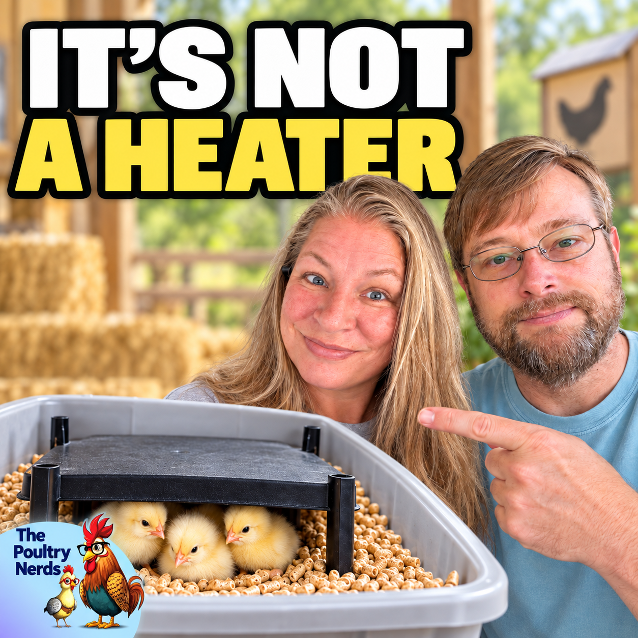 Brooder Design for Growing Chicks: Space, Airflow, and Heat That Adjust With Them
