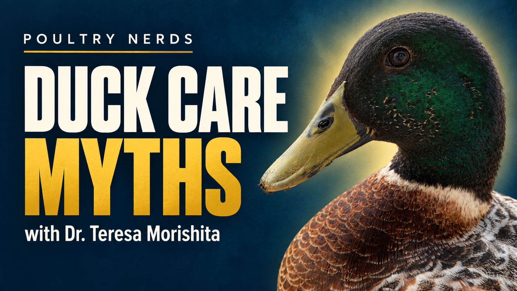 Duck Care Myths: What Backyard Keepers Get Wrong About Water, Niacin, and Feeding
