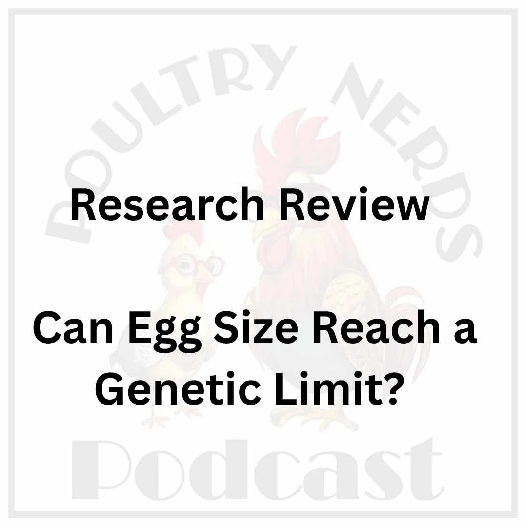 Artificial Selection and Egg Size Evolution: Why Larger Eggs May Reach a Genetic Plateau