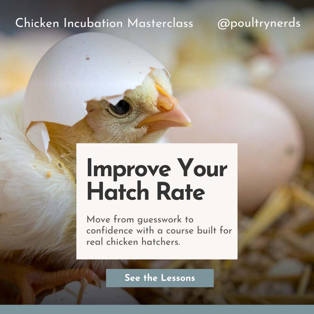 incubation masterclass