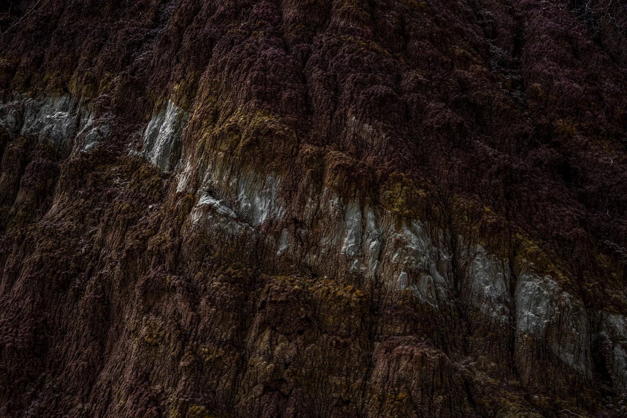 Livingstone_Reece_Final_ (21 of 11).jpg