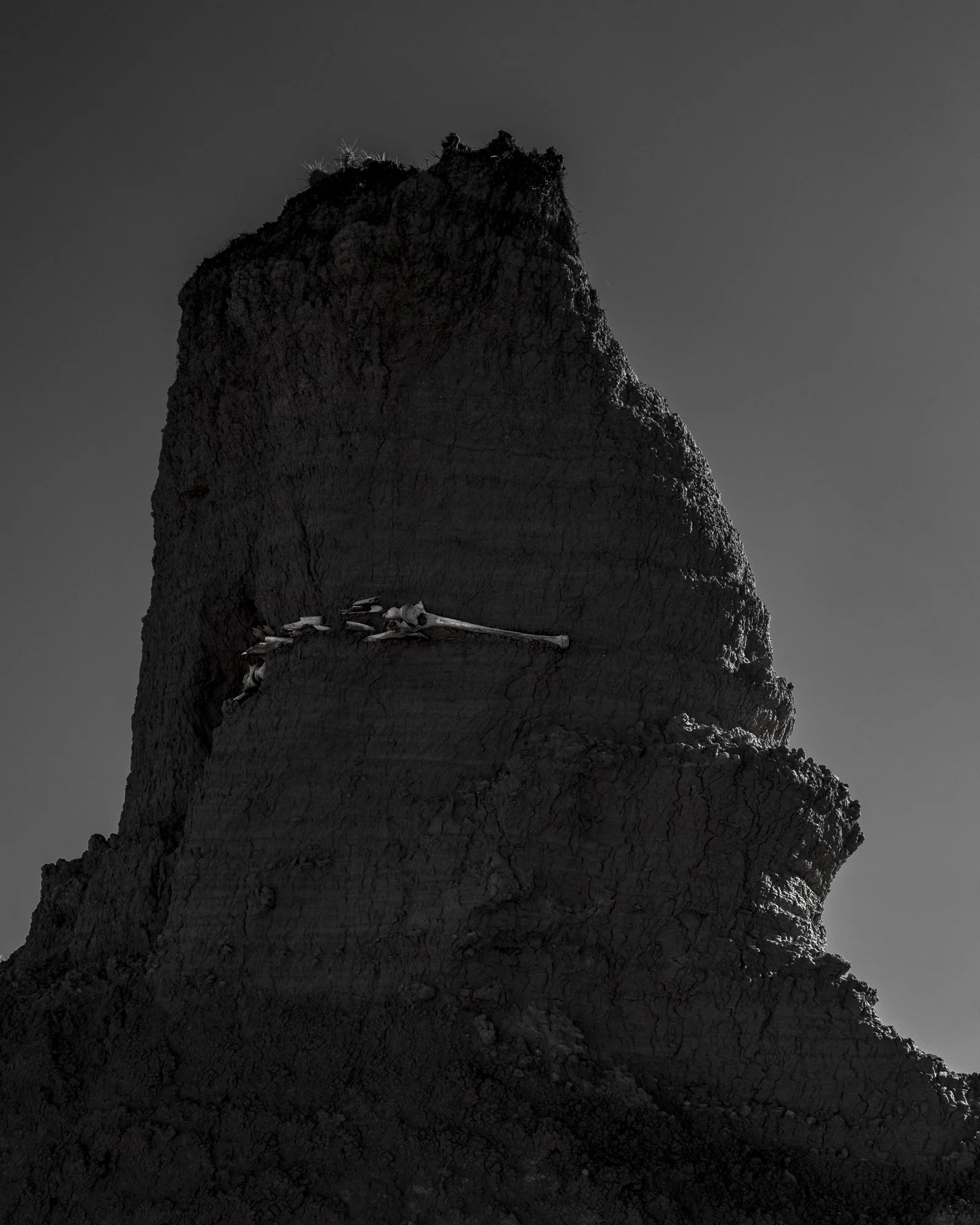 Livingstone_Reece_Final_ (27 of 11).jpg