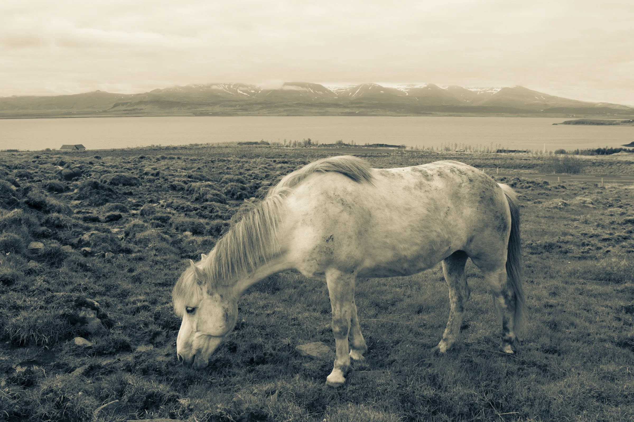 DSC_0972.jpg