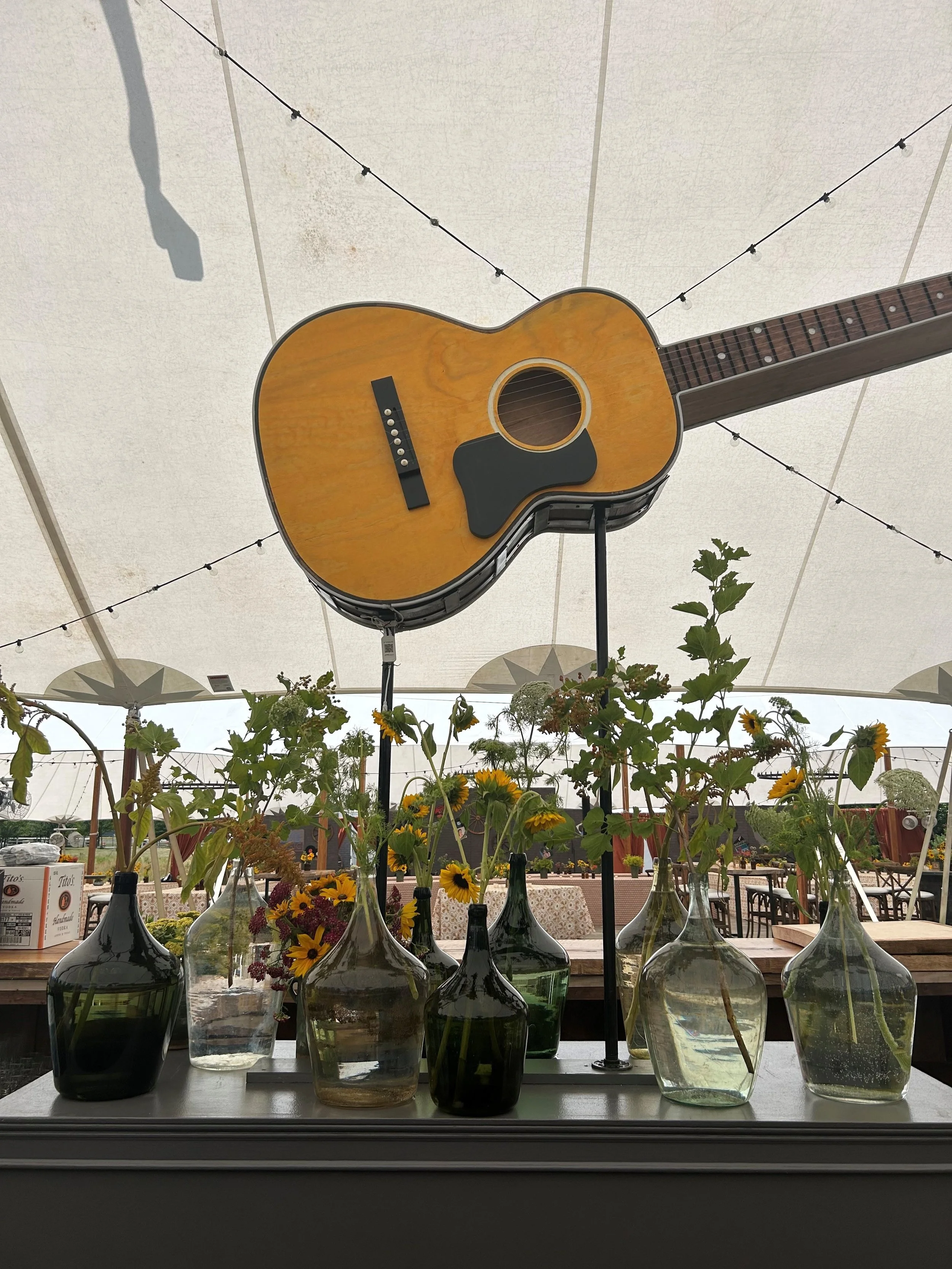 cella guitar welcome party 2.jpg