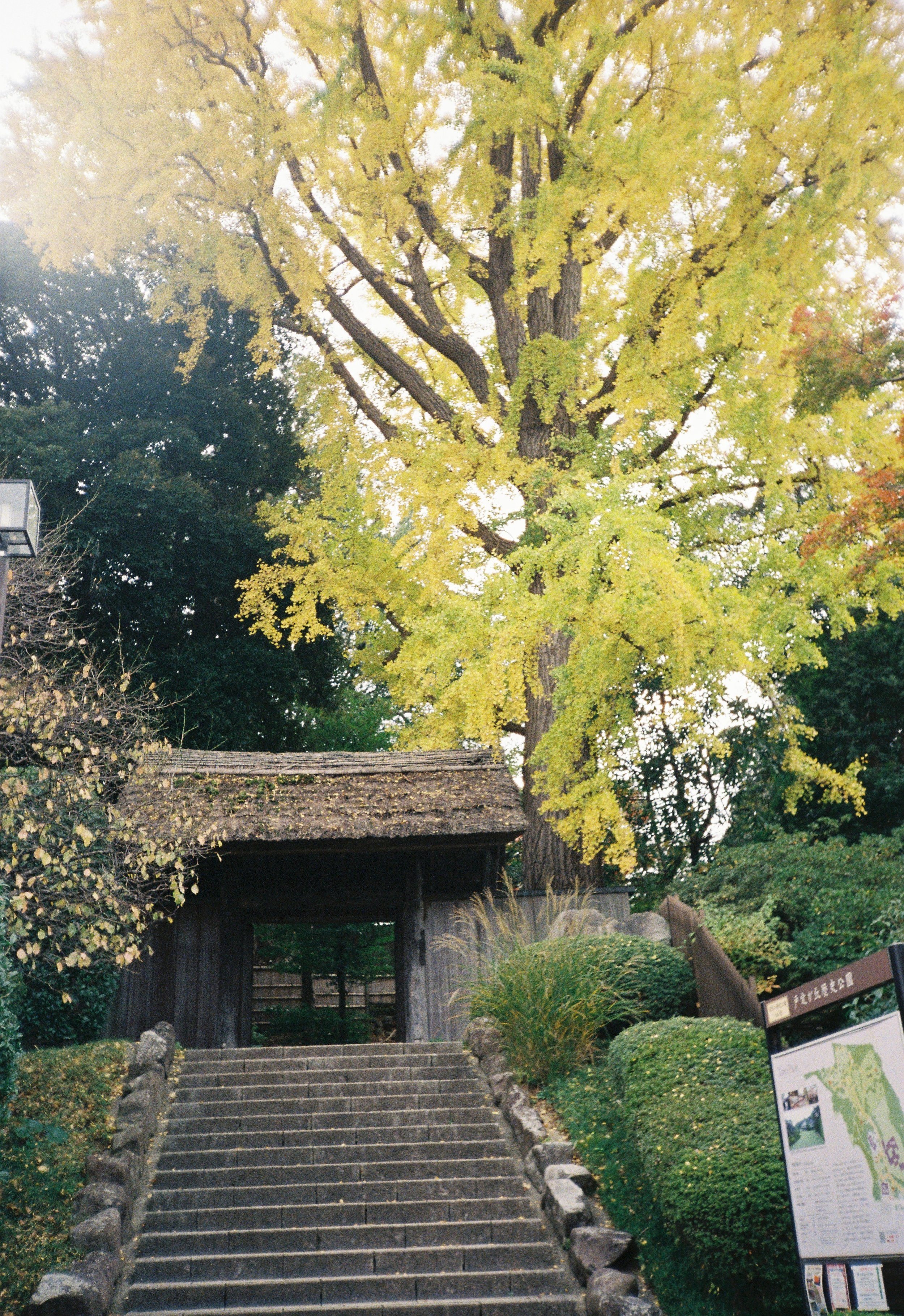 Escalones de piedra que conducen a una entrada de estilo tradicional, rodeada de vegetación y árboles con hojas verdes y amarillas, señal informativa en el lado derecho y estructura de iluminación a la izquierda.