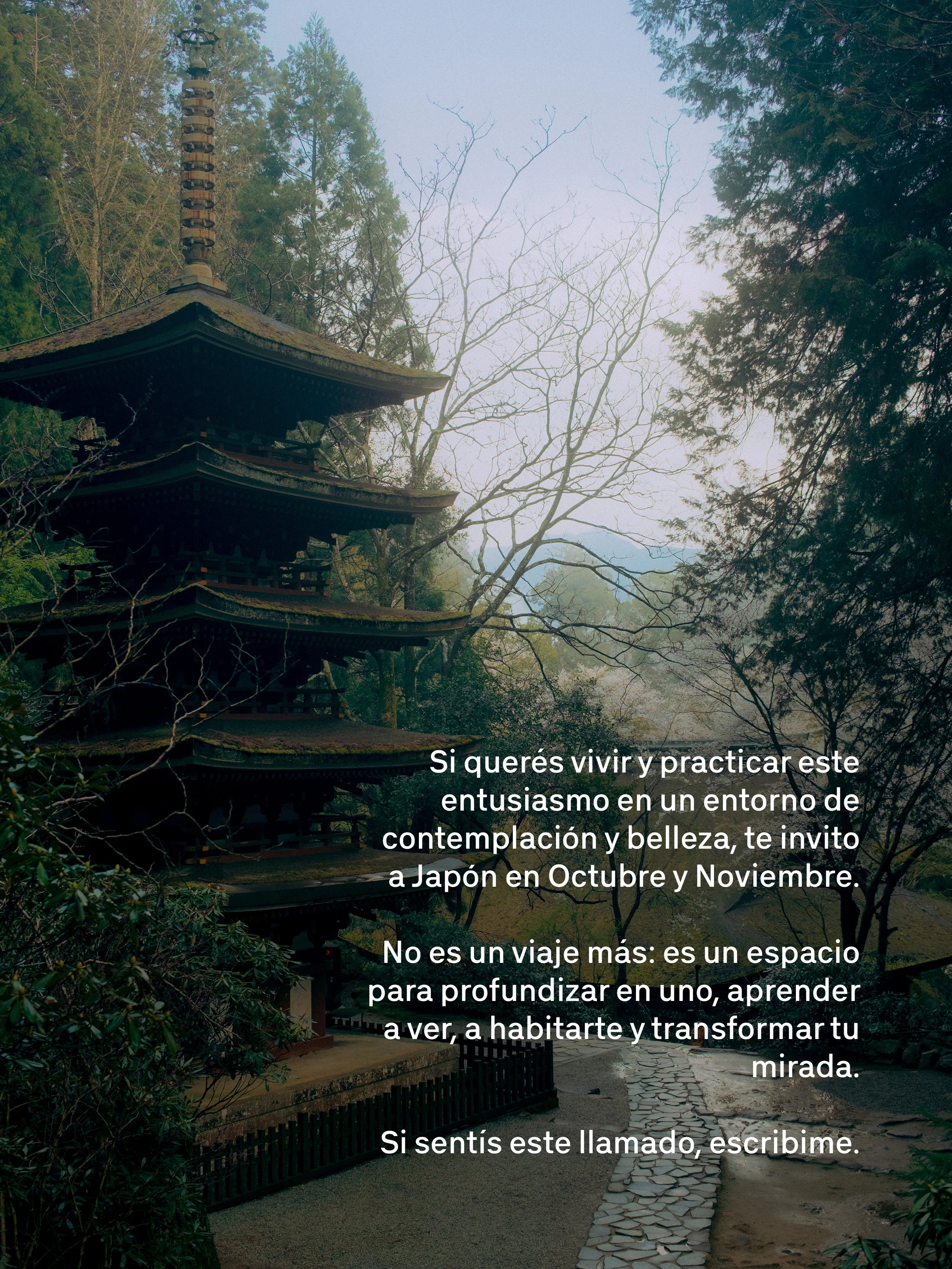 Una pagoda tradicional japonesa en un entorno natural con árboles y un sendero de piedra. La escena transmite tranquilidad y contemplación.