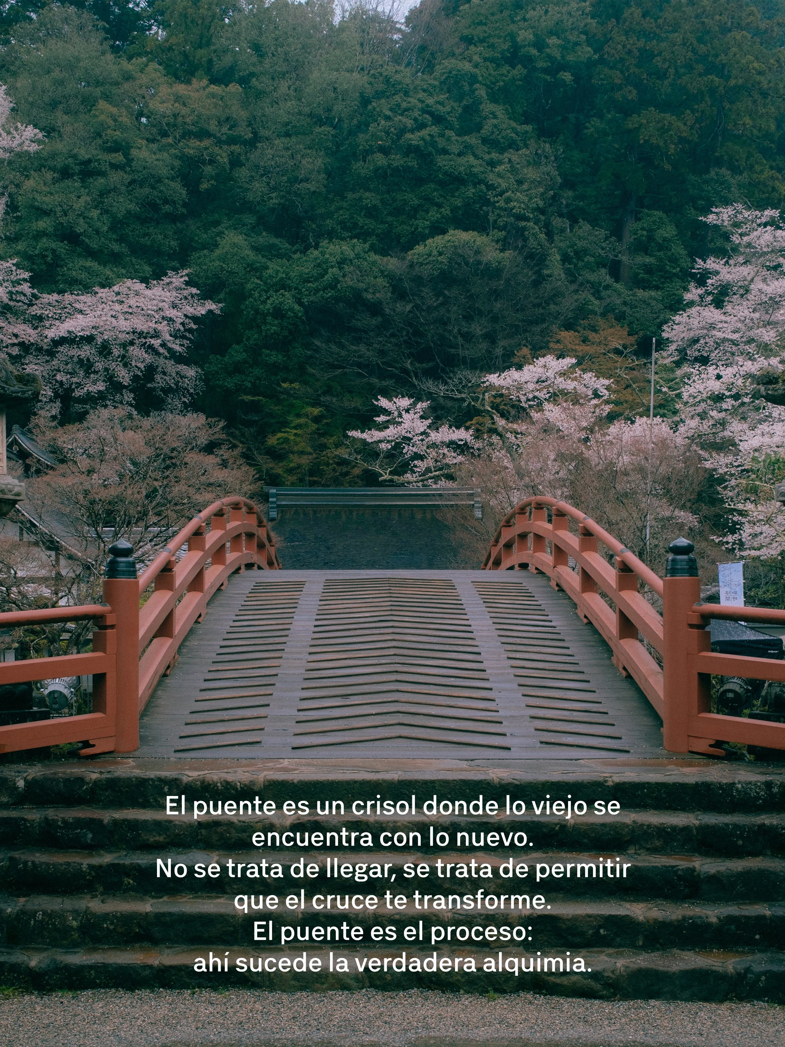 Puente de madera en un entorno natural con árboles de flores rosadas y verdes, y texto en español sobre el significado del puente como proceso de transformación y aceptación.