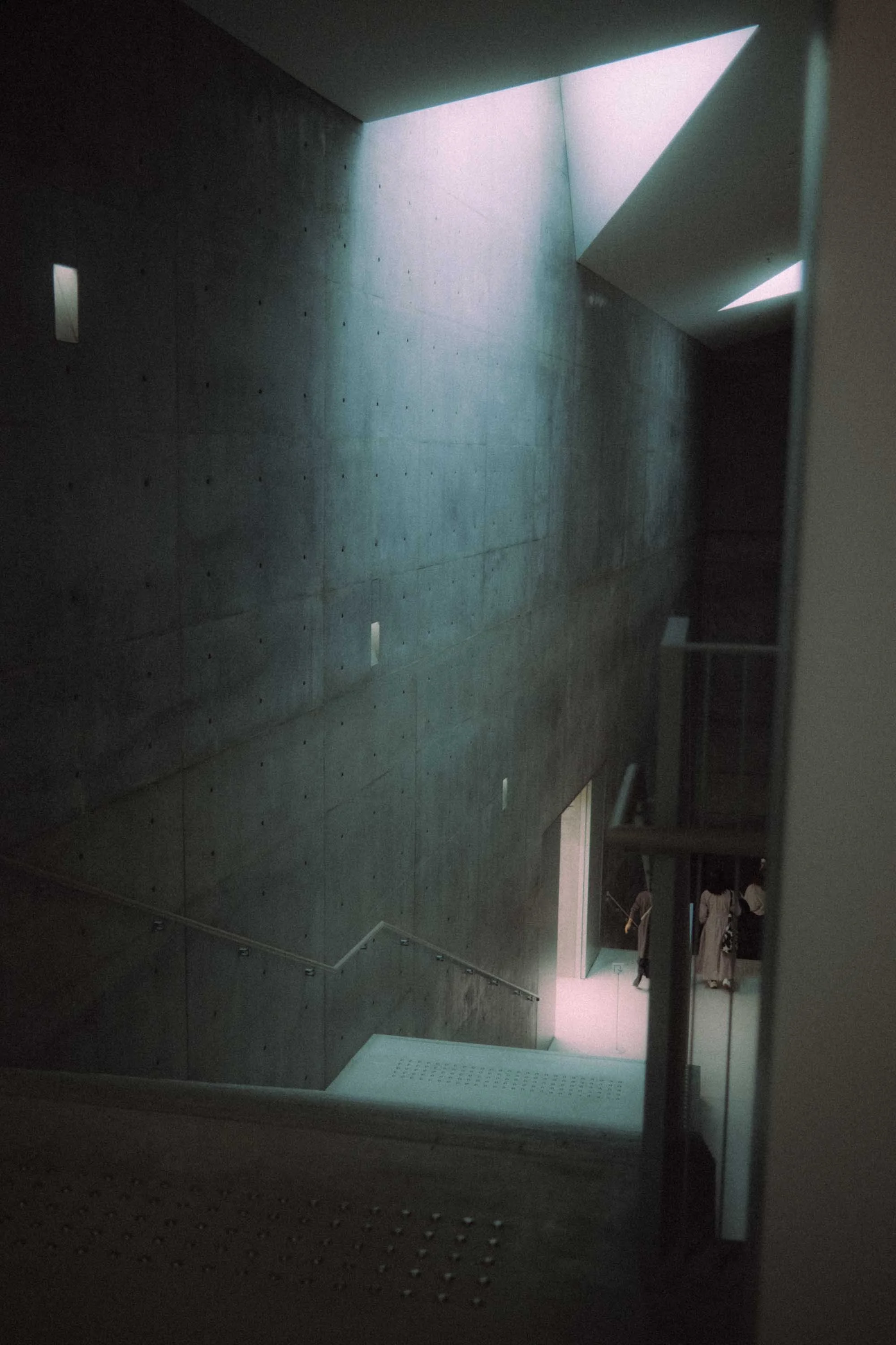 06.jpg