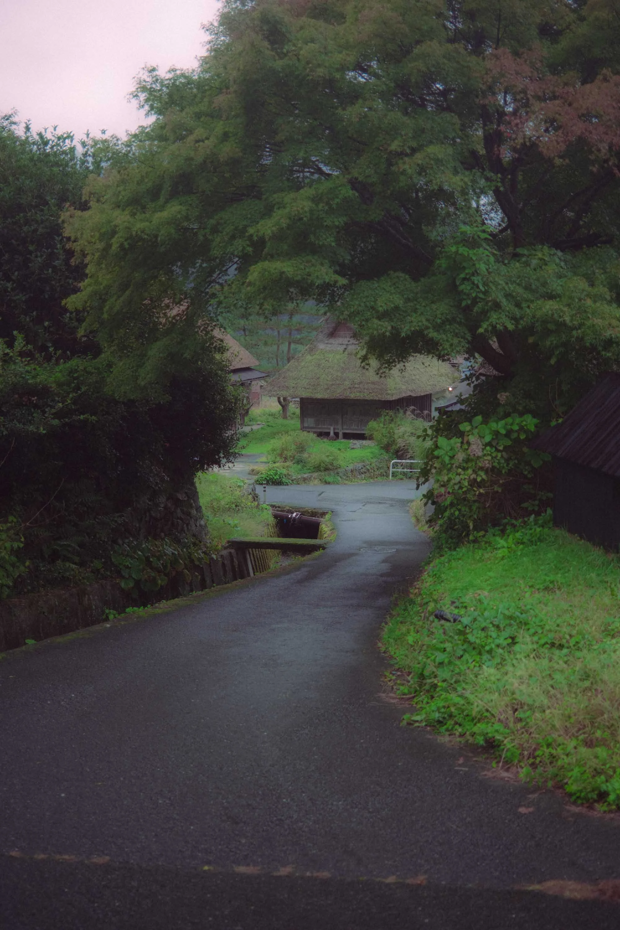 DSCF1682.jpg