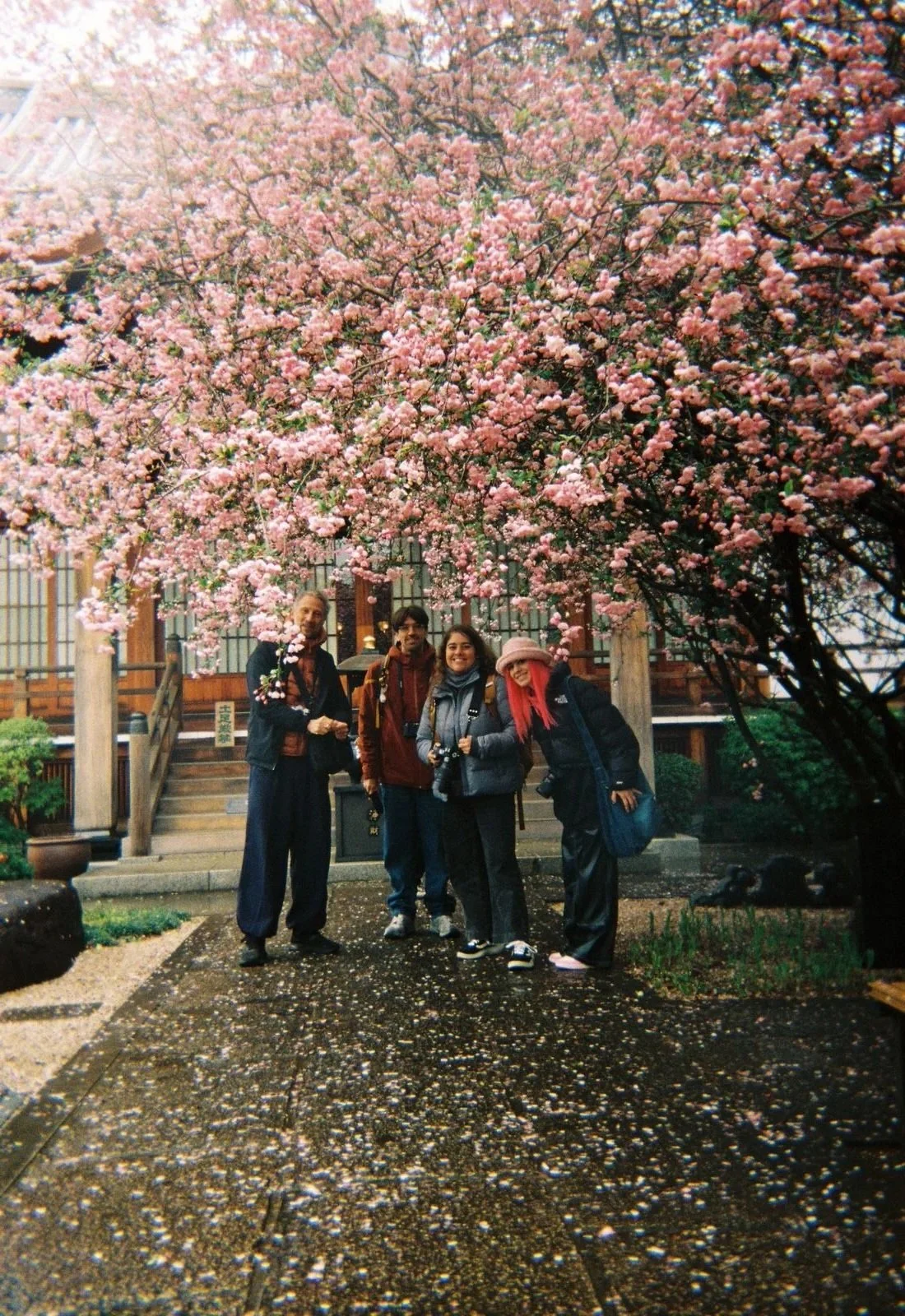 Grupo de personas posando debajo de un árbol en flor en un jardín, con suelo cubierto de pétalos y fondo de estructura de madera y paredes de vidrio.