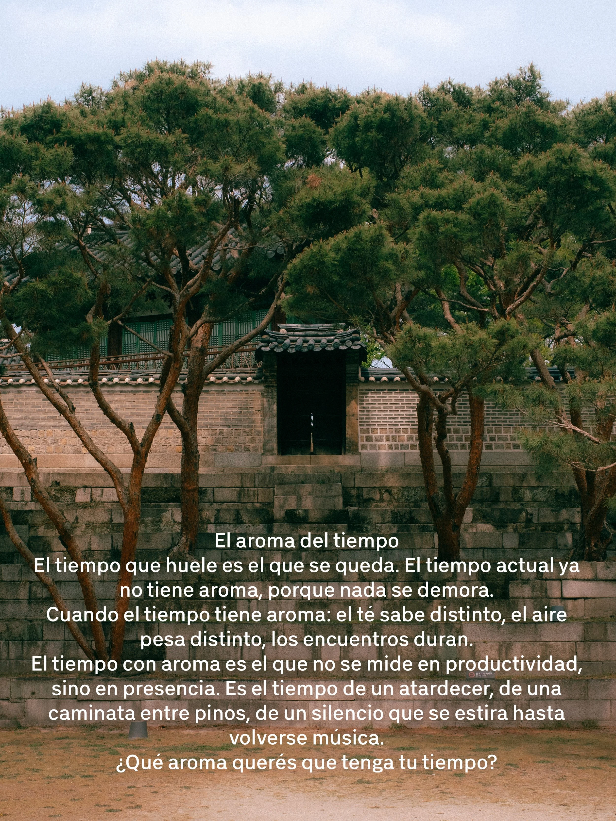 Un muro de piedra y ladrillo bajo un árbol de pino. Texto en la imagen que habla sobre el aroma del tiempo y la percepción del tiempo según su aroma.