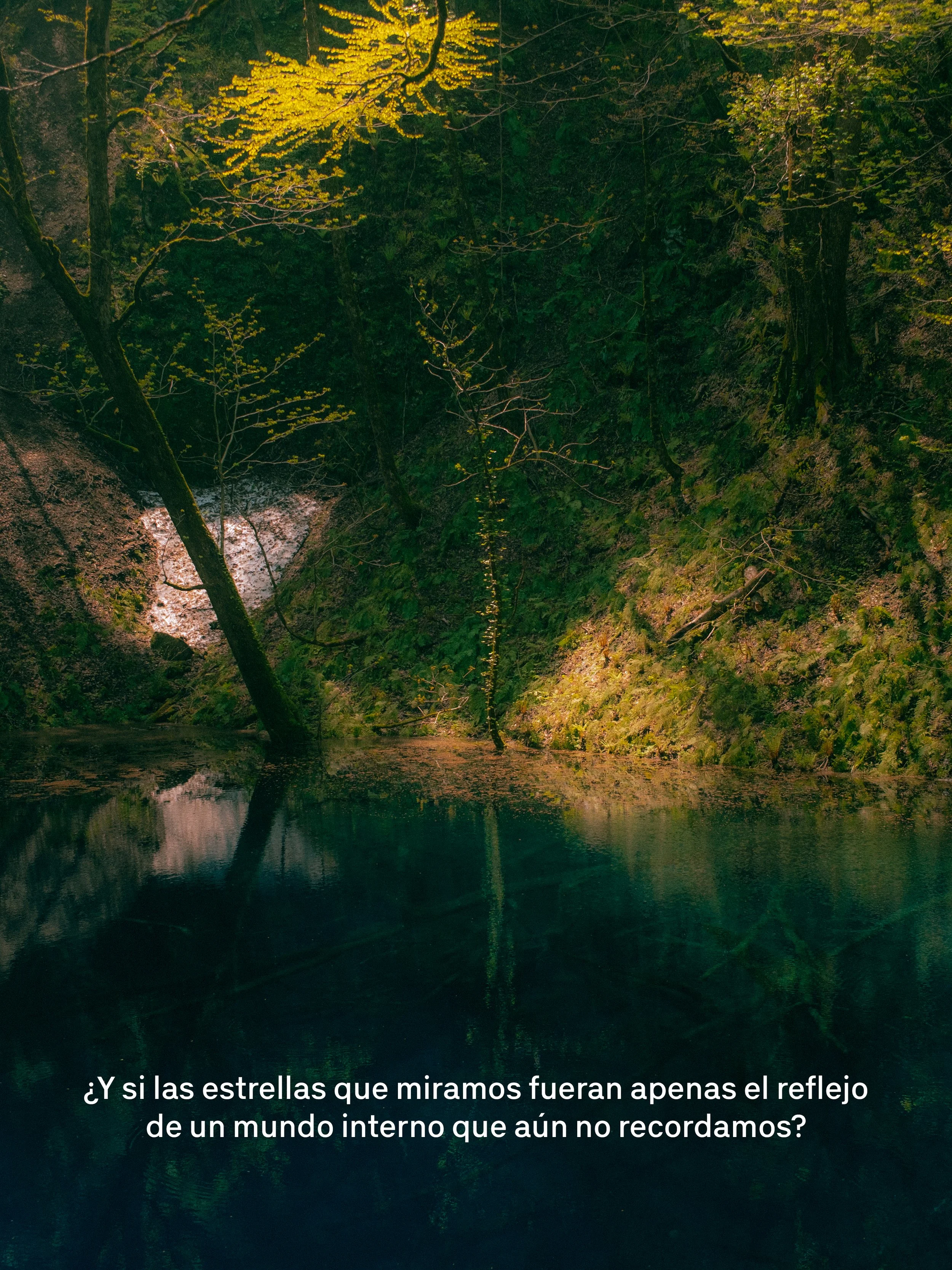 Un lago rodeado de árboles verdes con reflejos en el agua, en un entorno natural y tranquilo, con un texto en la parte inferior que dice: "¿Y si las estrellas que miramos fueran apenas el reflejo de un mundo interior que aún no recordamos?".