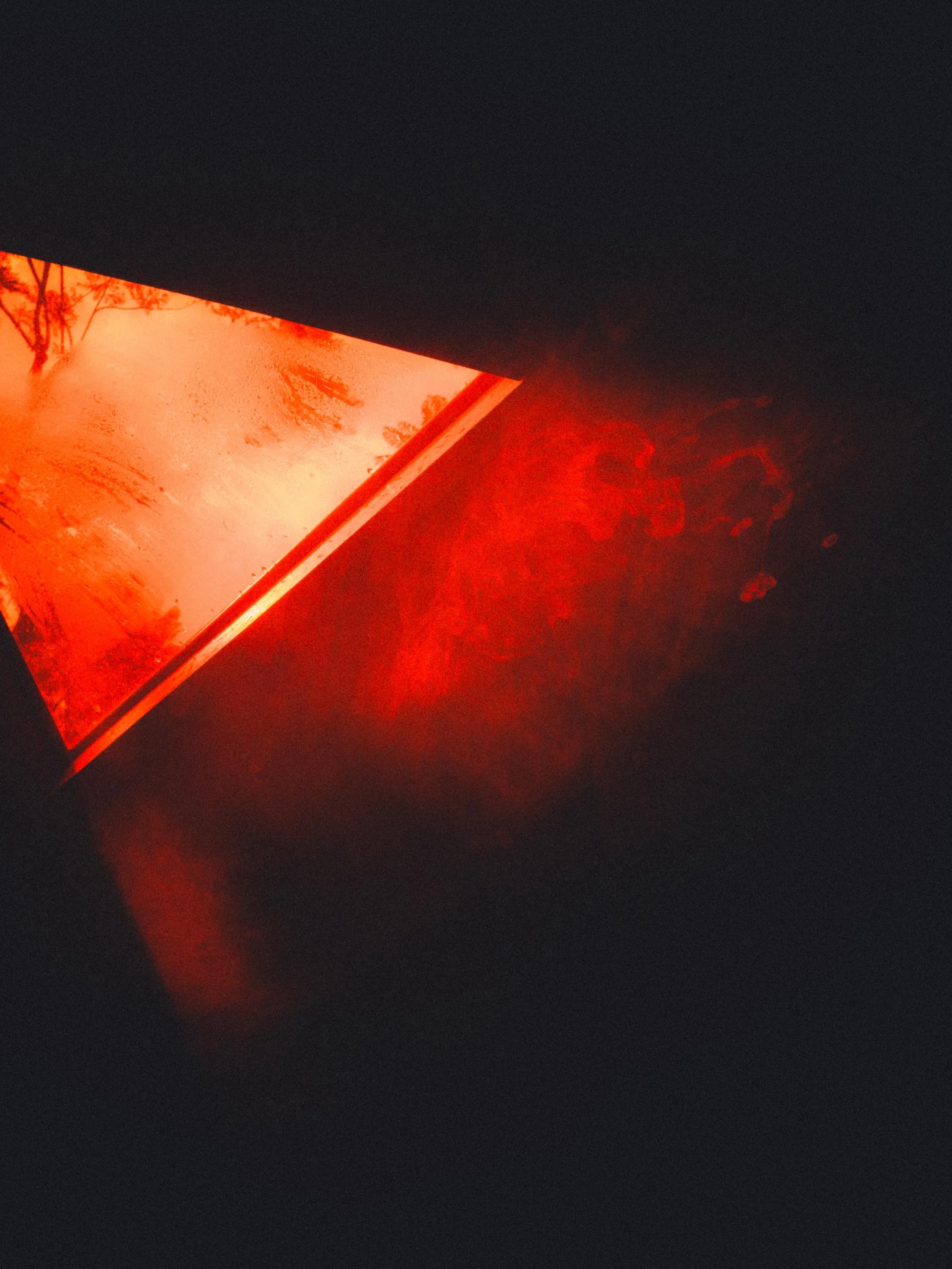 IMG_9872.jpg