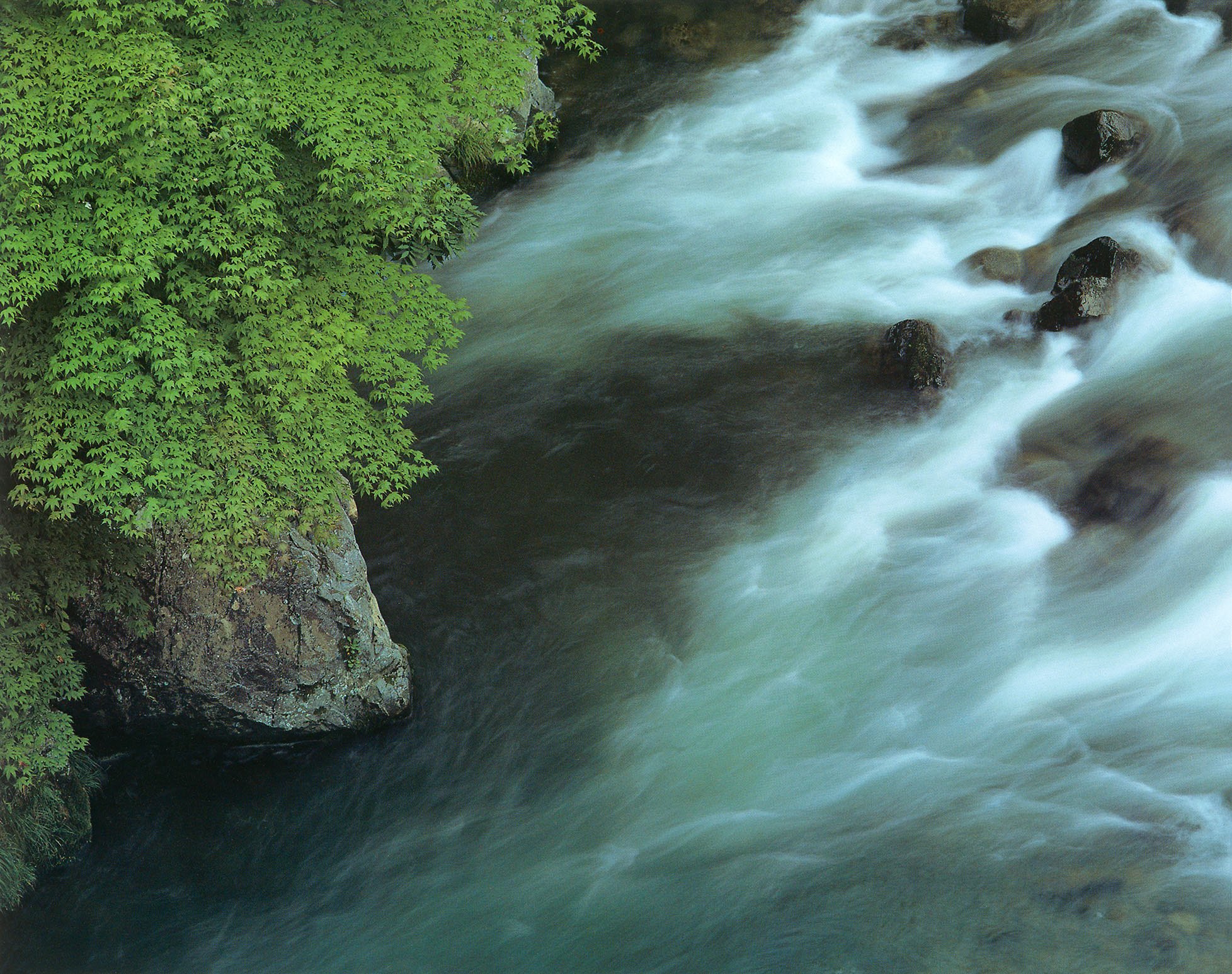 shinzo-maeda-this-land-this-beauty-maples-river.jpg