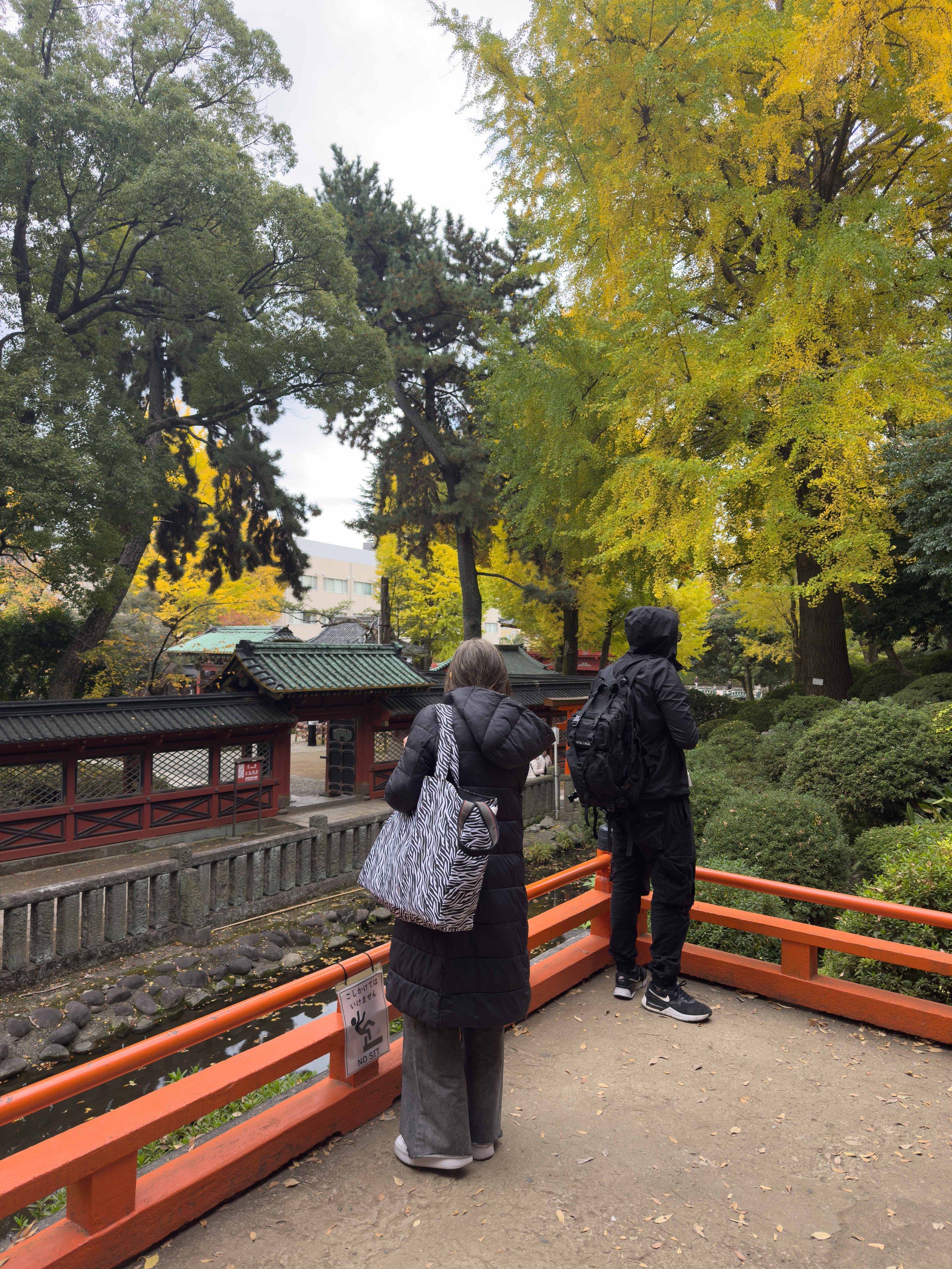 Personas con mochilas observando un jardín con árboles de hojas verdes y amarillas en un parque. Hay un puente pequeño y una estructura tradicional japonesa en el fondo.