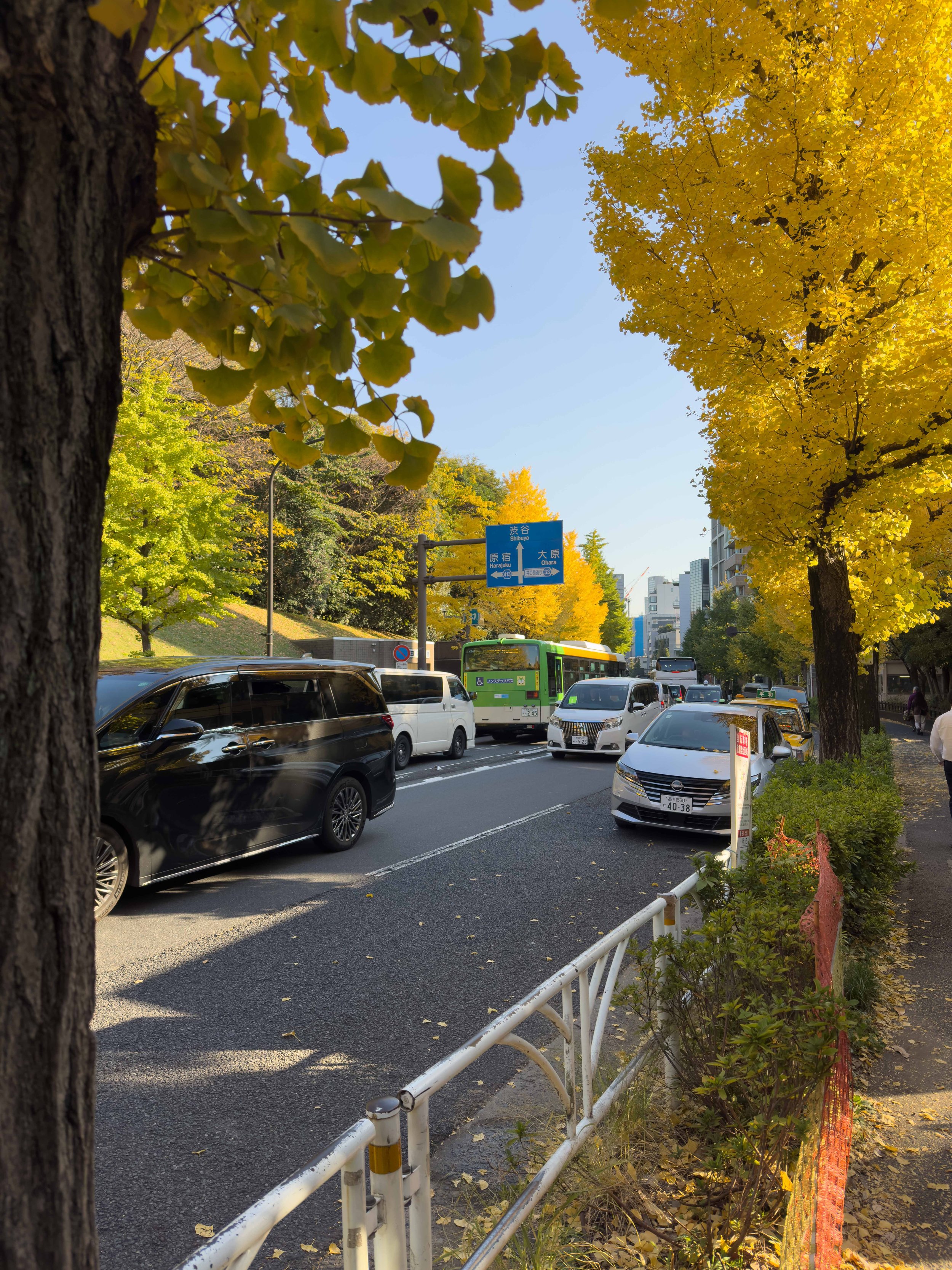 Calles de ciudad con autos estacionados y árboles con hojas amarillas de otoño, señal de tráfico, edificios y cielo despejado.
