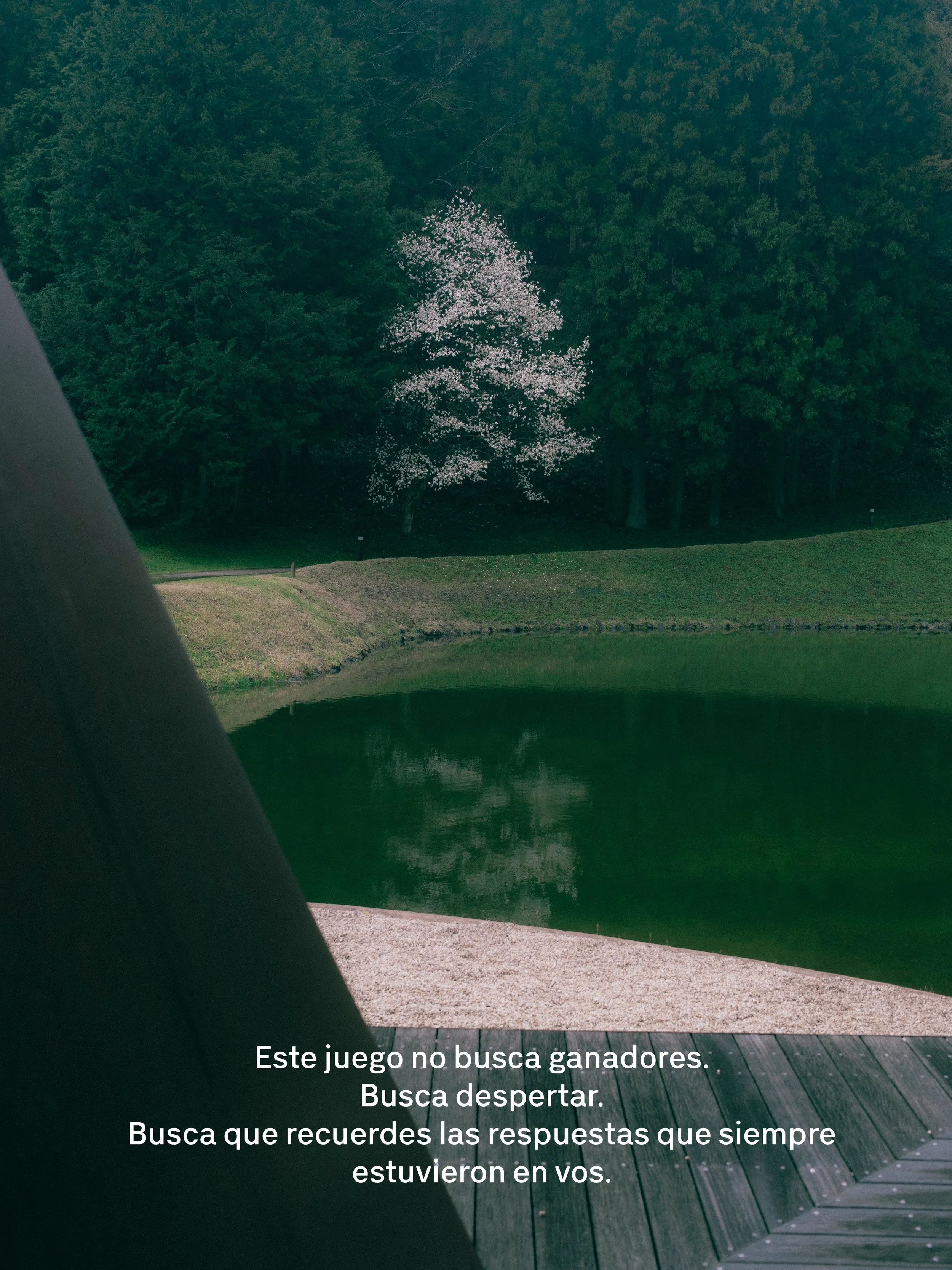 Imagen de un jardín con un árbol florecido en medio, con un borde de césped y un camino de arena, visto desde una ventana o puerta de madera. Texto en la imagen que dice 'Este juego no busca ganadores. Busca despertar. Busca que recuerdes las respuestas que siempre estuvieron en vos.'