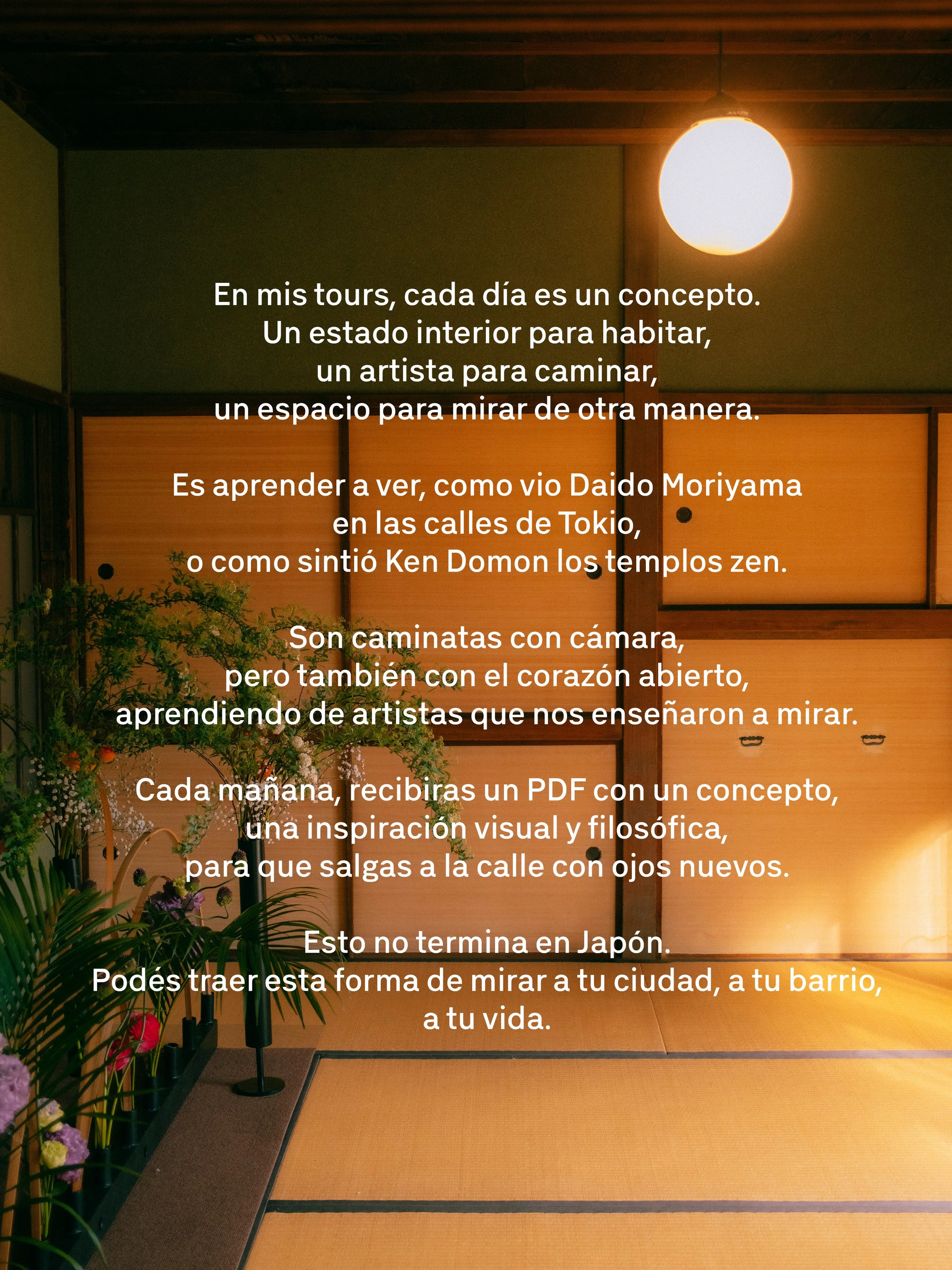 Texto en una pared de estilo japonés con tulipas de papel, plantas, flores y alfombra, describiendo la filosofía del observador y cómo llevar esa perspectiva a la ciudad y la vida.