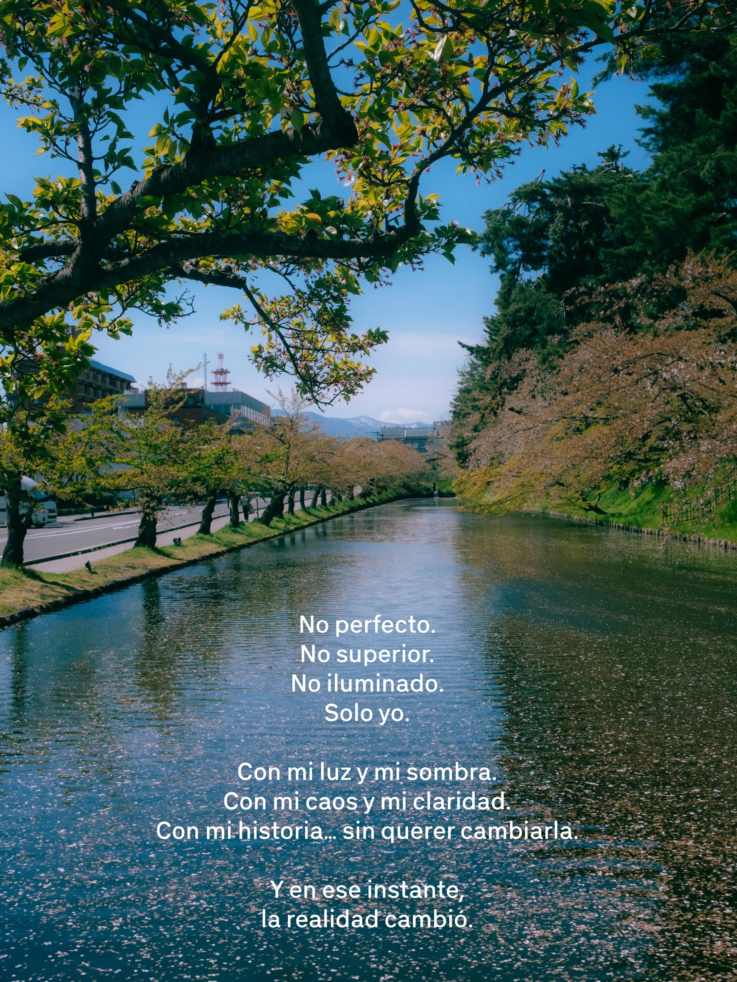 Una vista de un río rodeado de árboles con hojas verdes y algunas flores rosadas, con edificios y montañas al fondo, bajo un cielo despejado.