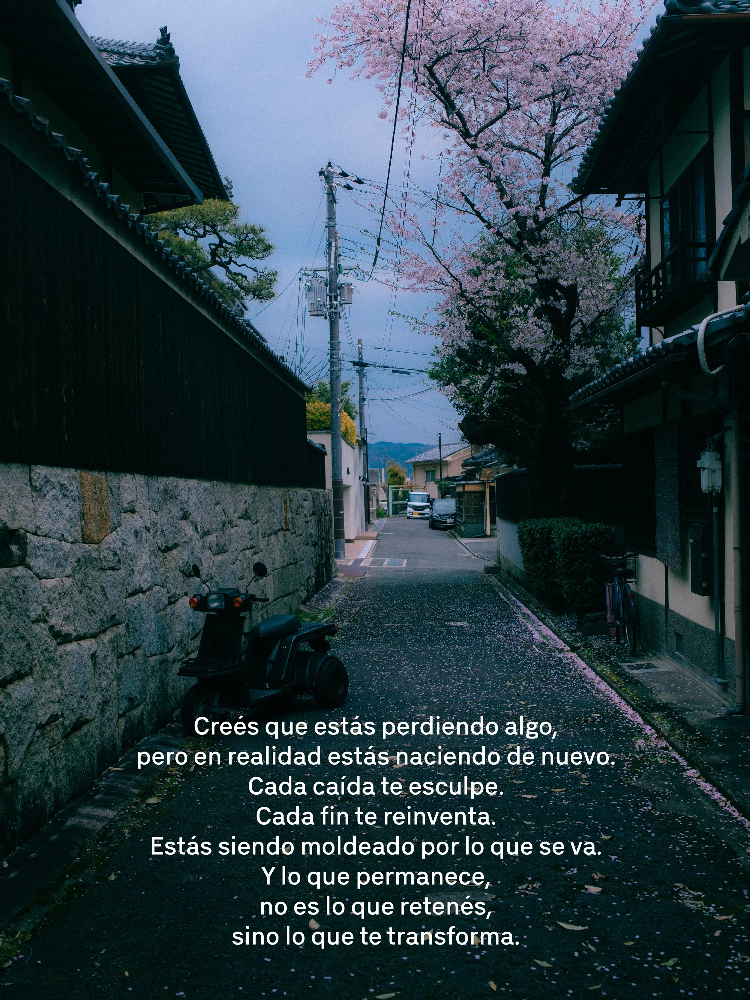 Calle estrecha con paredes de piedra y casas tradicionales japonesas, árboles floreciendo con cerezos en flor y cables eléctricos en el fondo, en un ambiente lluvioso al atardecer.