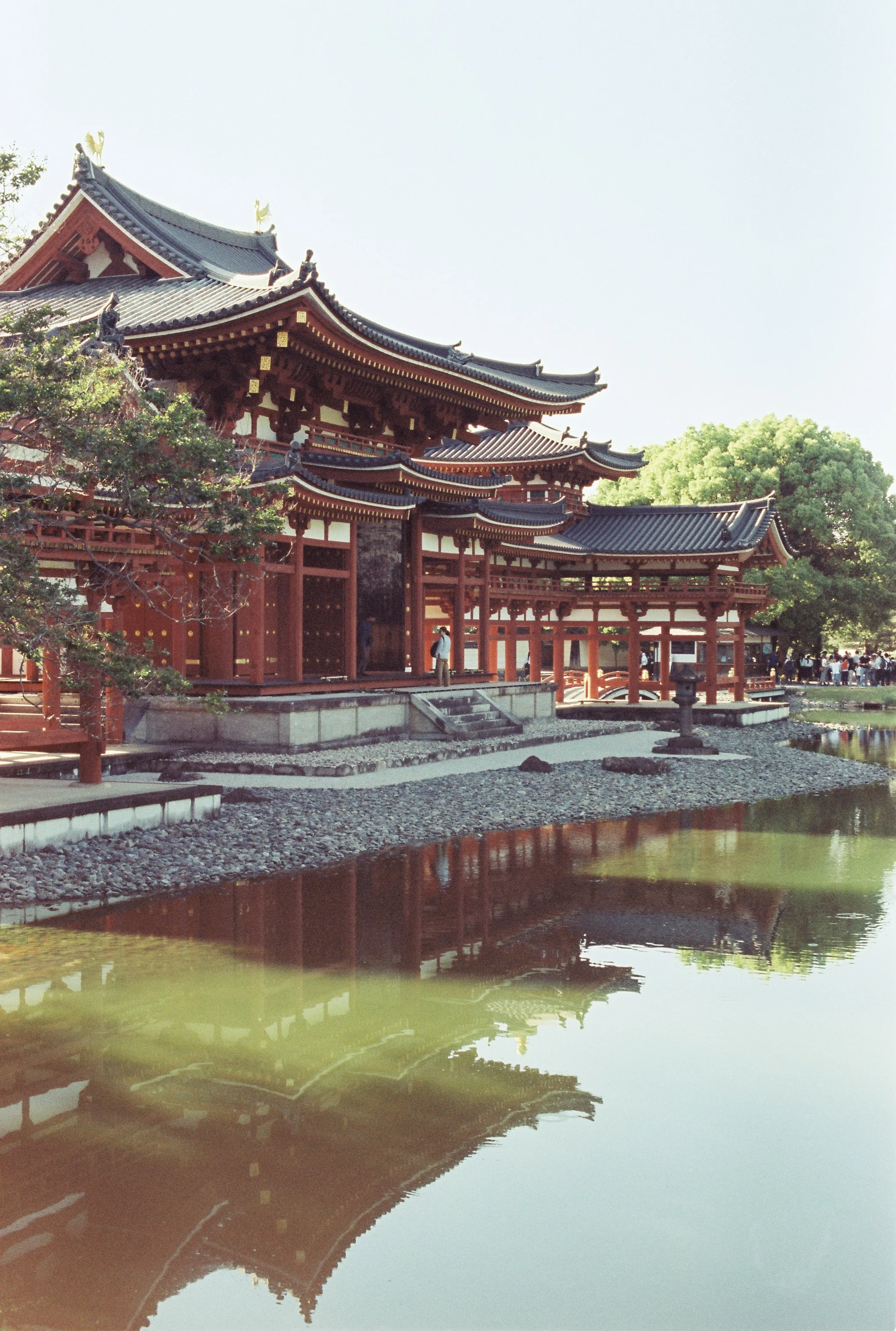 Templo tradicional japonés con techos curvos y decorativos, rodeado de árboles y reflejado en un estanque.