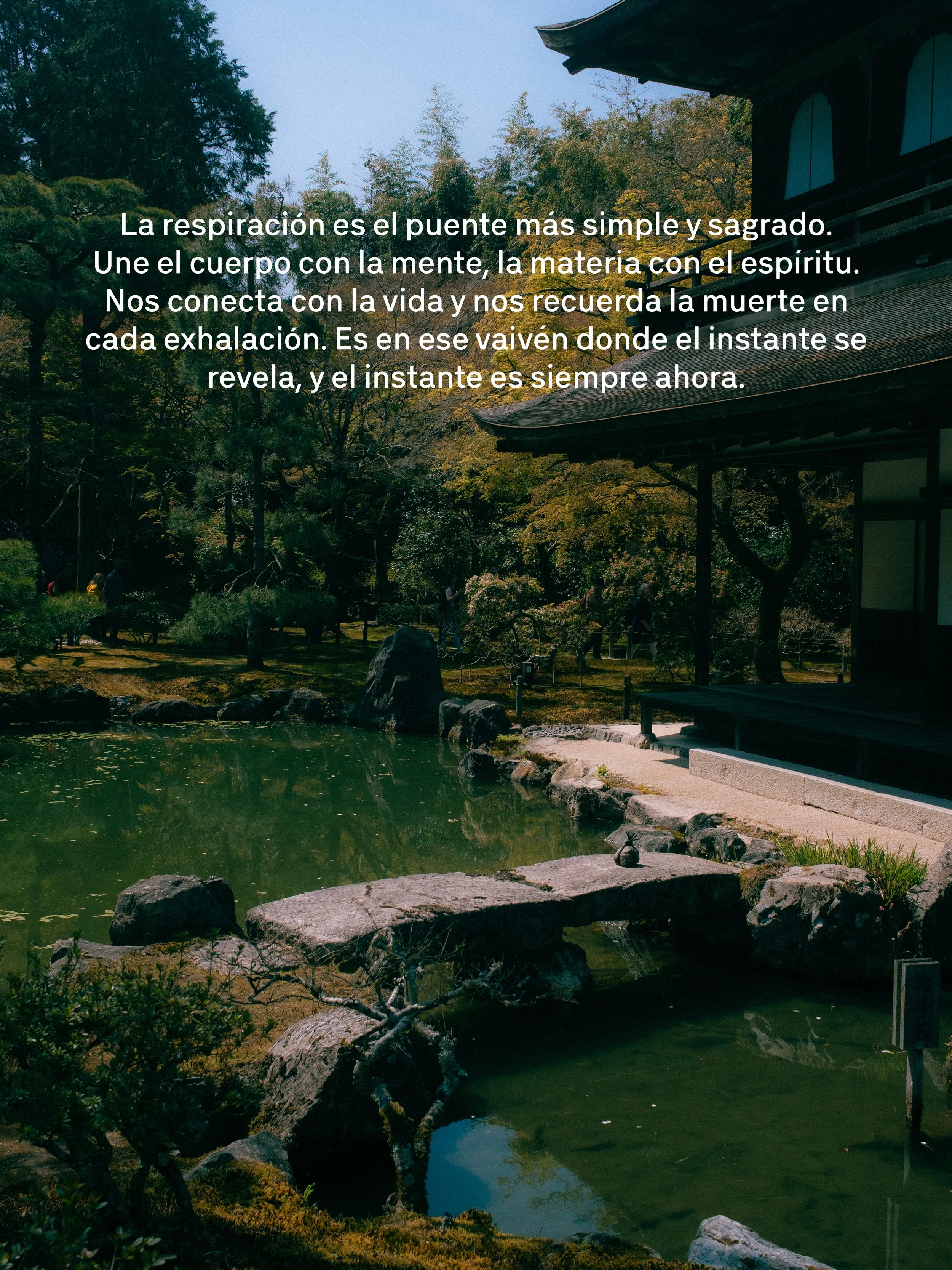 Paisaje de un jardín zen con un estanque de agua, rocas y árboles en la esquina, y un edificio tradicional japonés en el fondo, con un mensaje en español sobre la respiración.