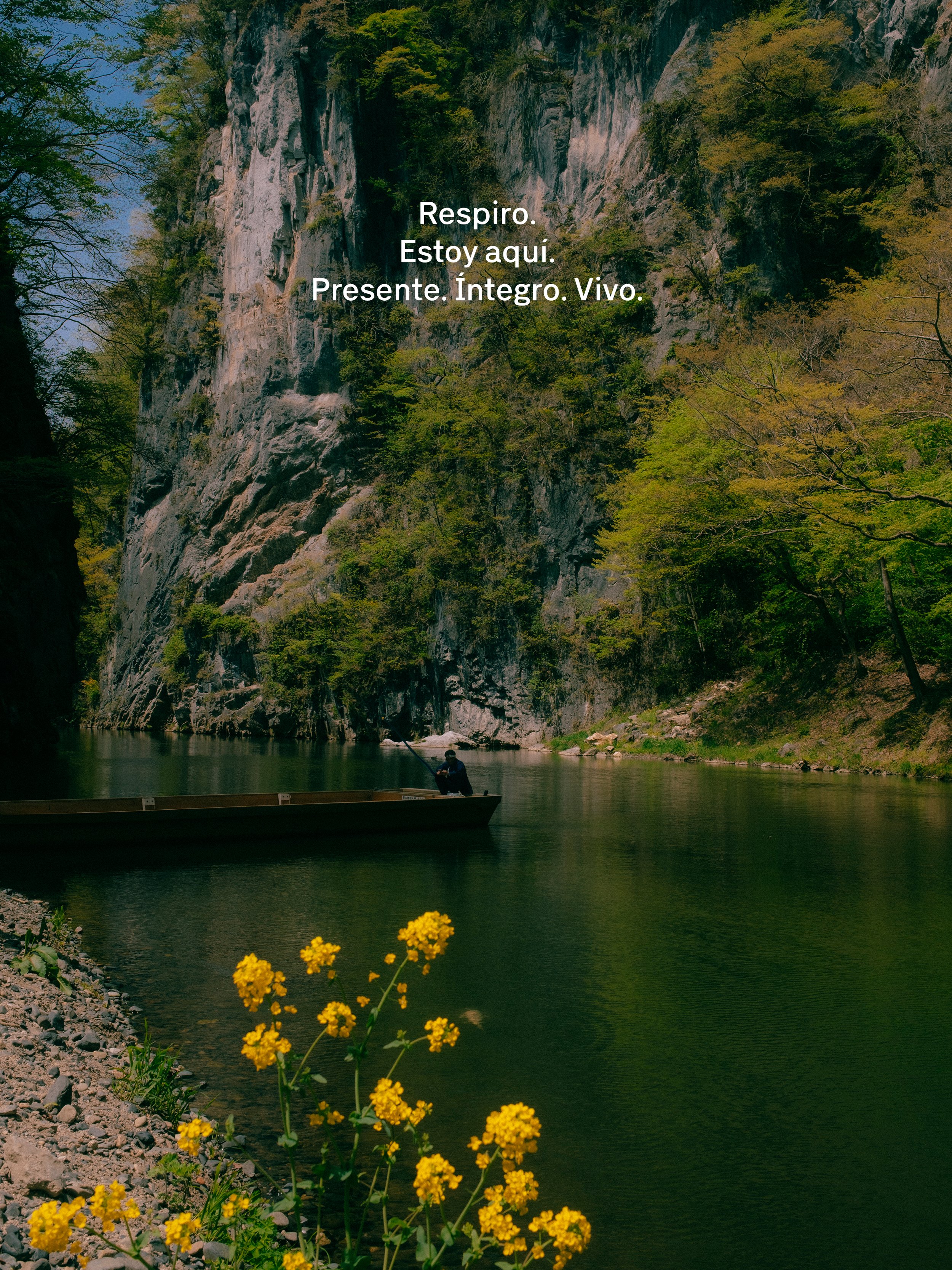 Un río con un bote y una persona pescando, rodeado de árboles y altas formaciones rocosas, con flores amarillas en primer plano.