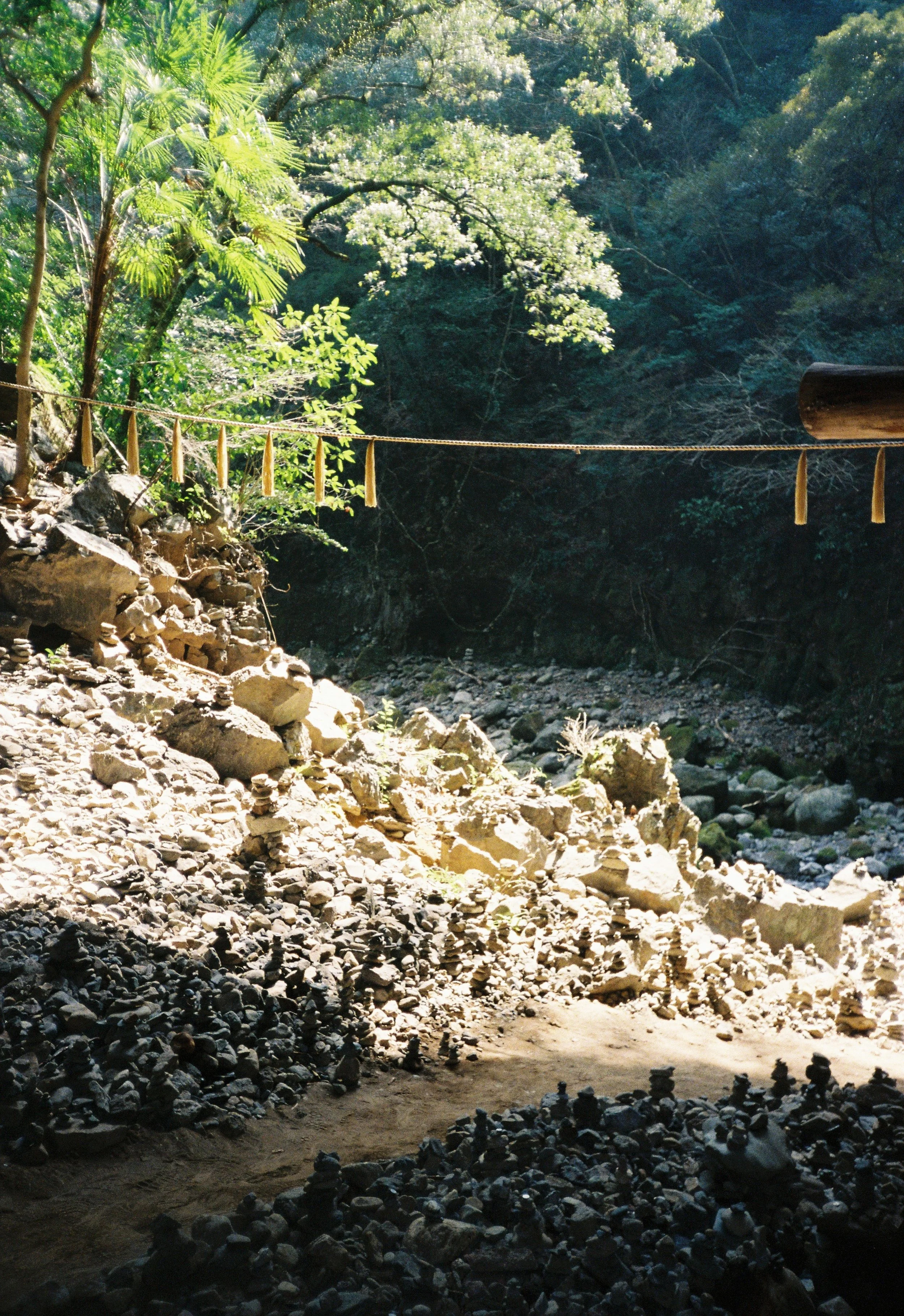 Puente de cuerda sobre un río con rocas y vegetación densa en un entorno natural.