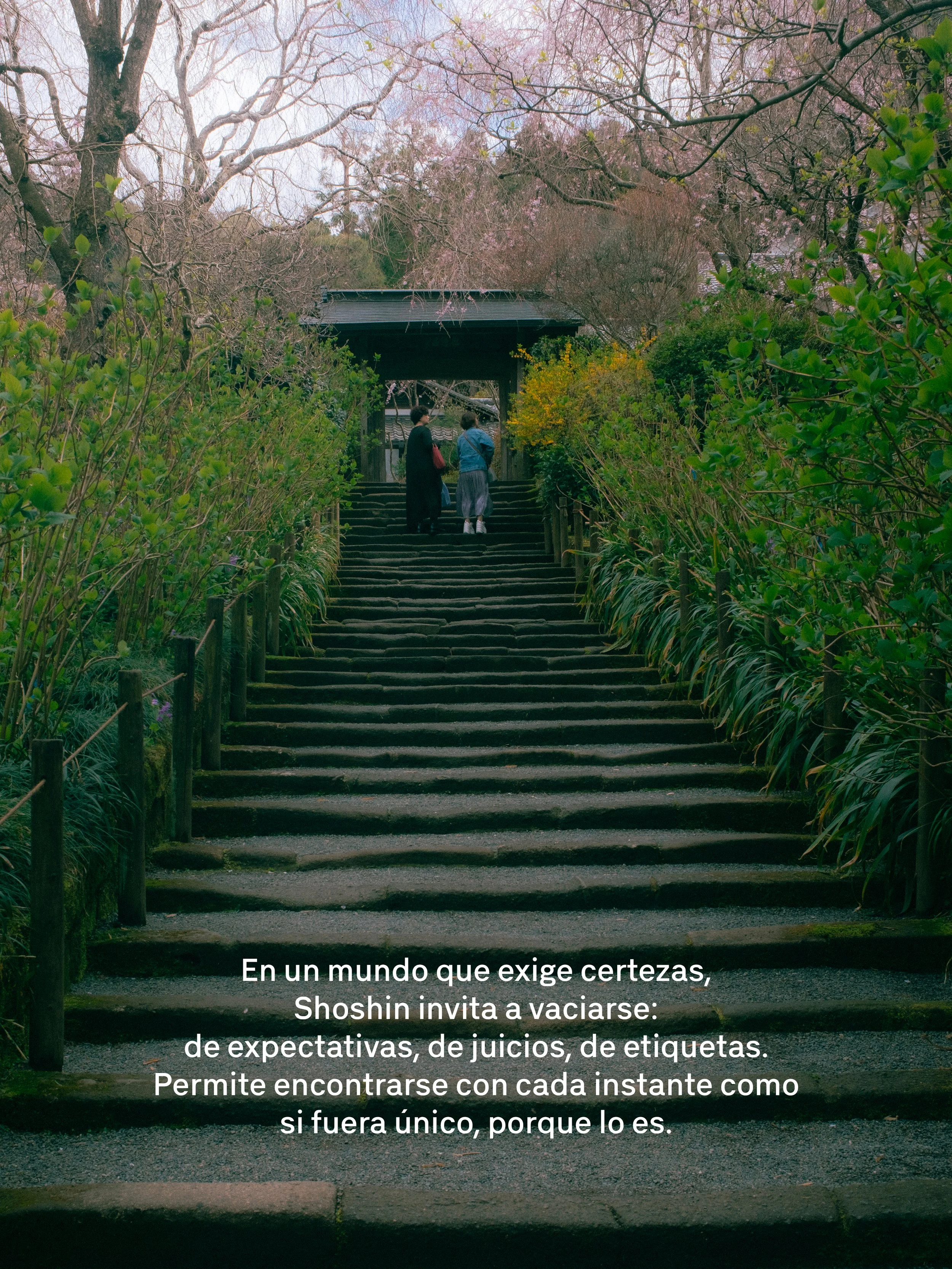 Escalera de piedra en un jardín con árboles y arbustos, con una estructura de madera en el fondo y personas caminando.