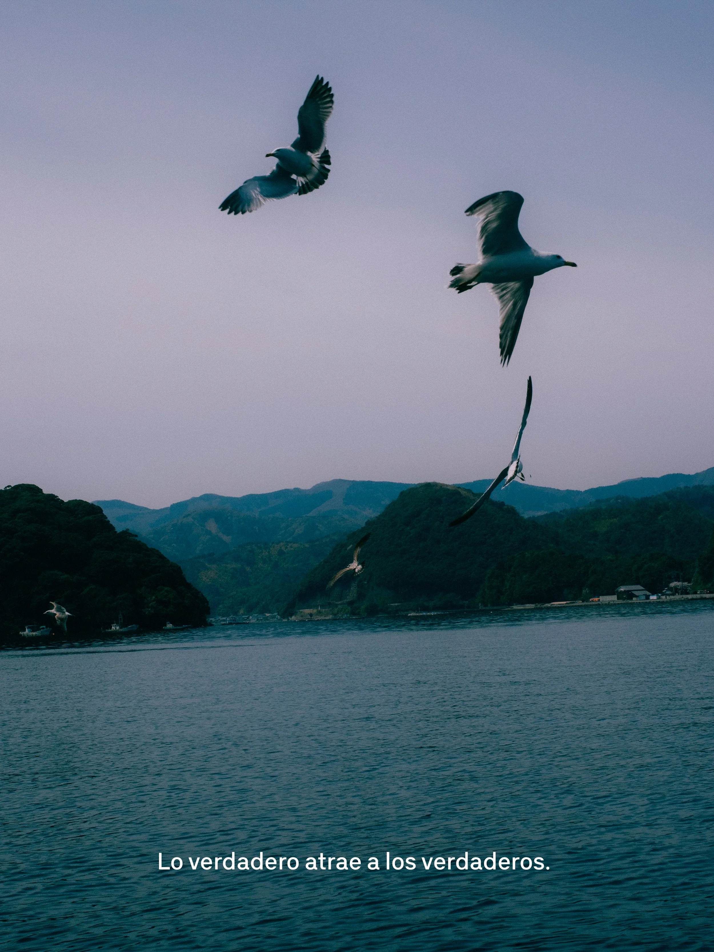 Vista de un lago rodeado de montañas con varias gaviotas volando en el cielo. En la parte inferior, texto que dice: "Lo verdadero atrae a los verdaderos."