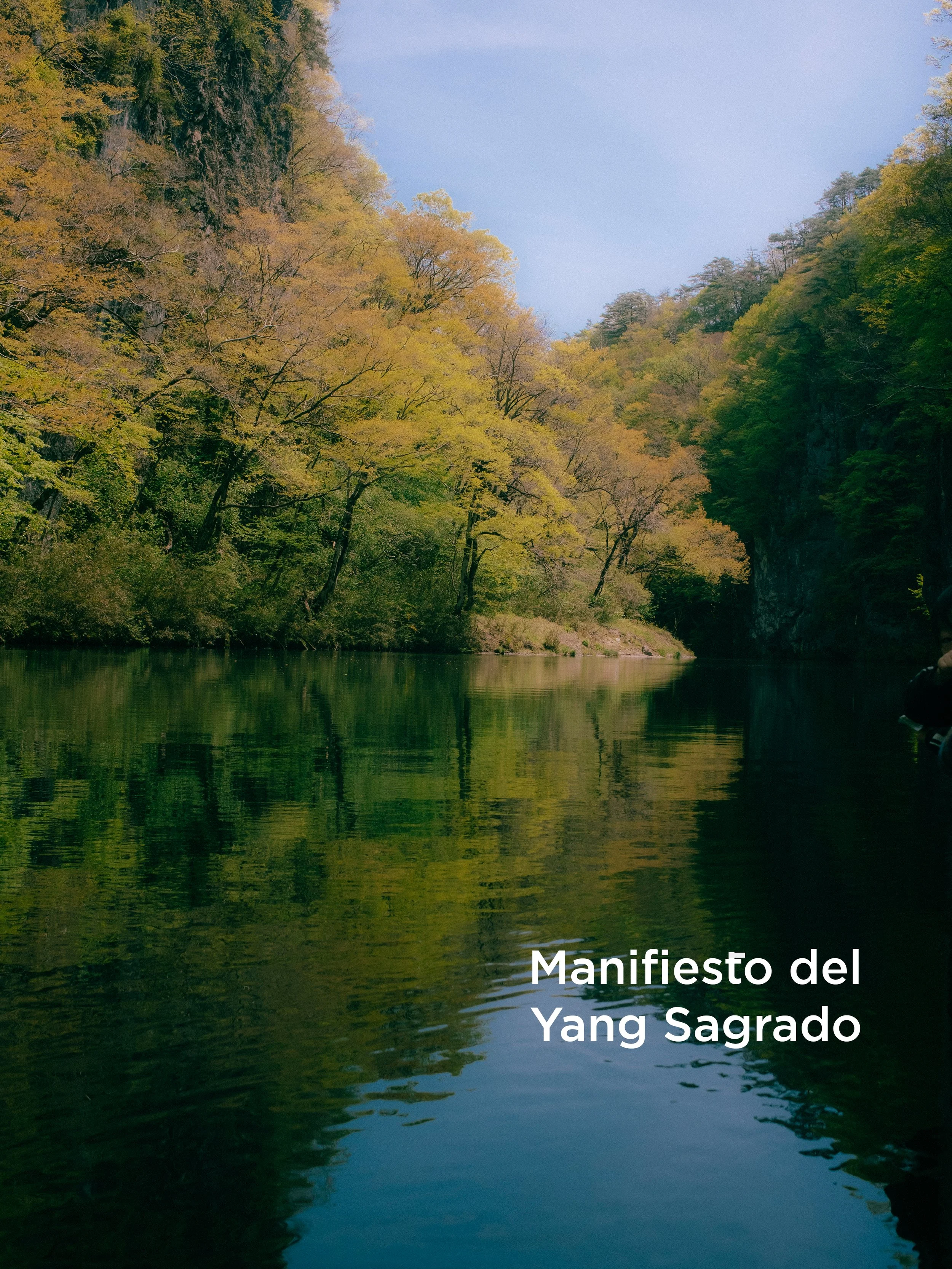 Un río rodeado de árboles con hojas de tonos verdes y amarillos, en un paisaje natural con montañas al fondo y cielo despejado.