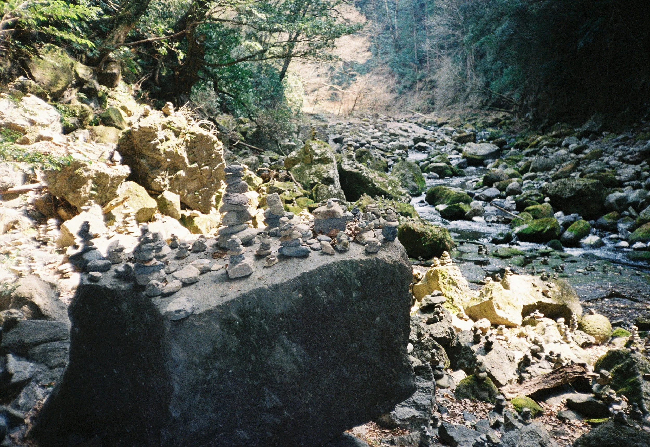 Río rodeado de rocas y árboles en un bosque.