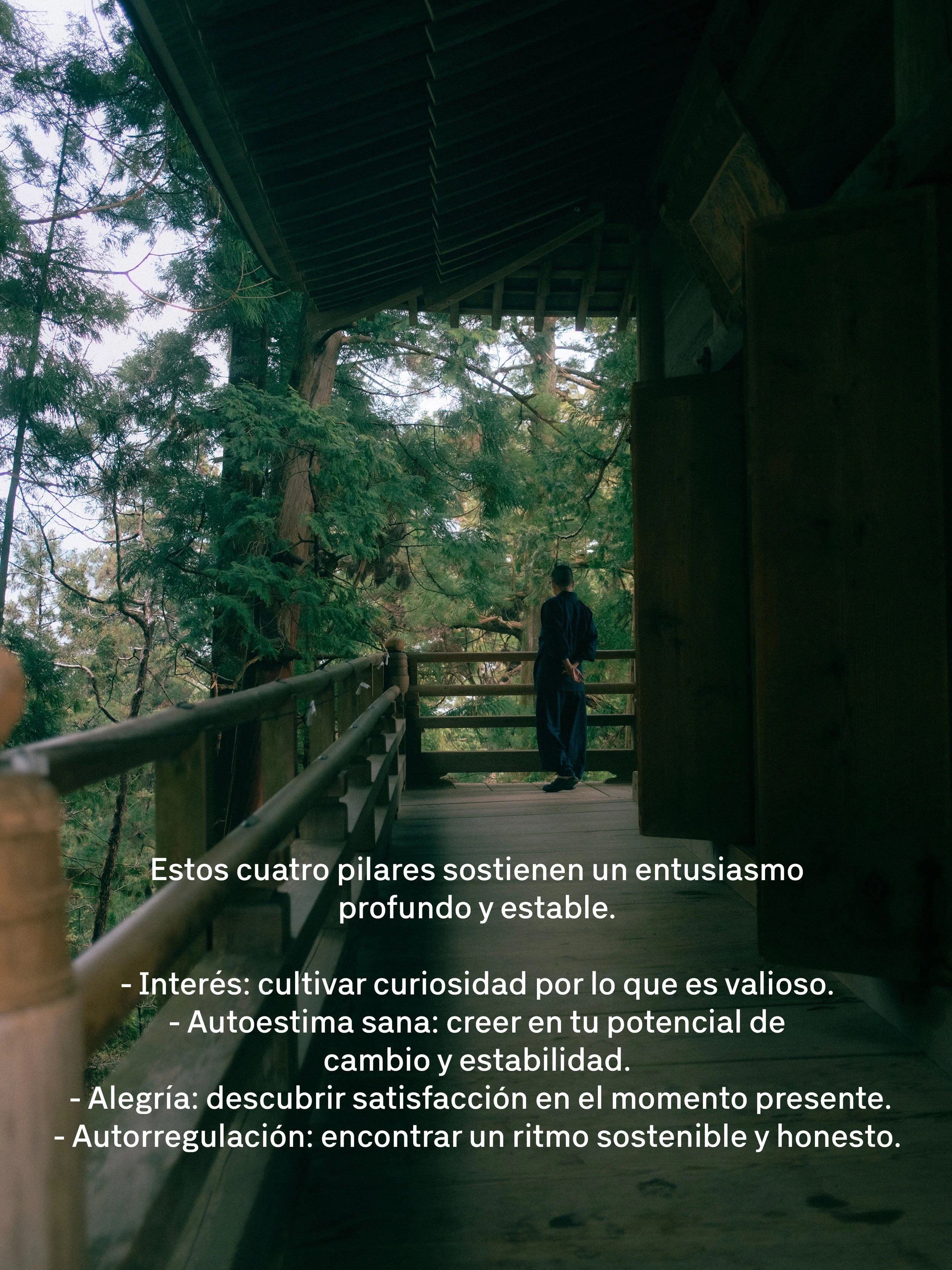 Vista desde una estructura de madera rodeada de árboles verdes con un par de personas de espaldas observando el entorno natural y un cielo visible en el fondo.