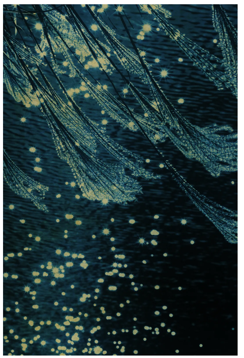 Captura de pantalla 2025-02-18 a las 10.49.51 p. m..png
