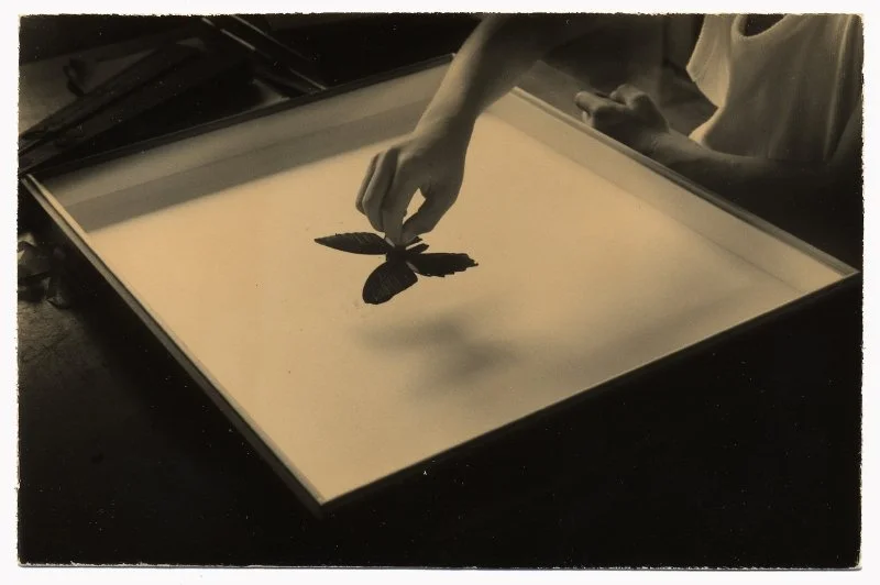 MY_5.jpg