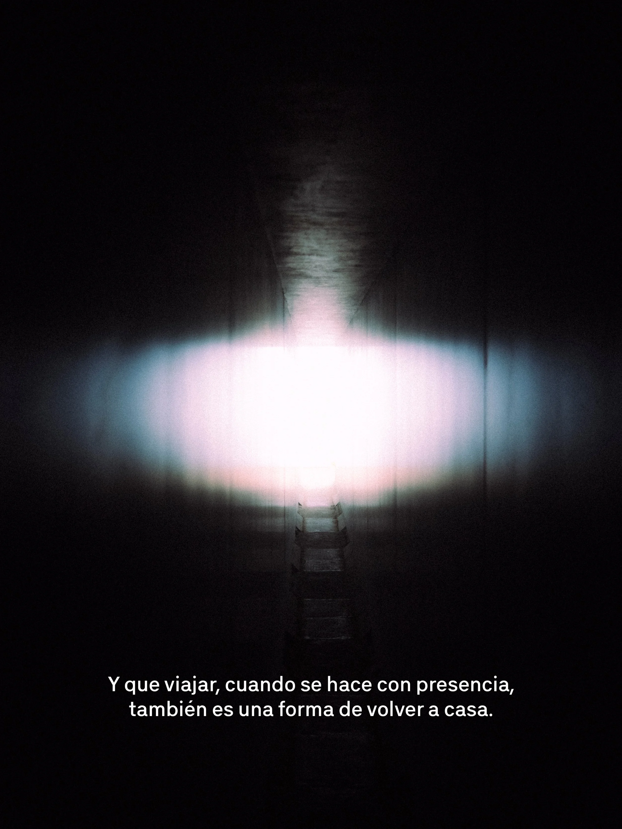 Caminito con árboles a los lados, vista hacia el horizonte con la luna brillante en el cielo oscuro.
