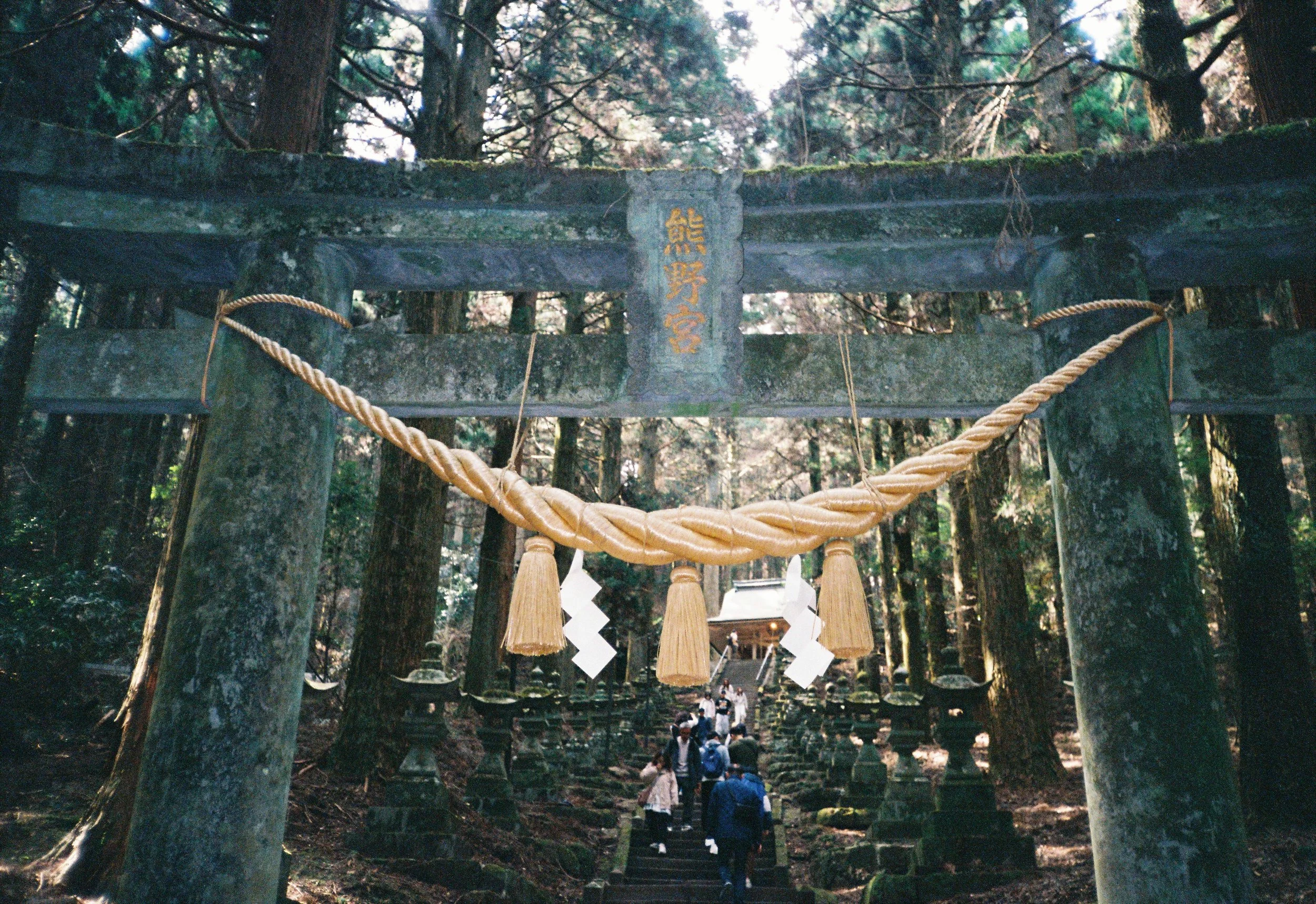 Un torii en un bosque con cadenas de shimenawa y papel shide, y personas caminando y visitando un santuario shinto.