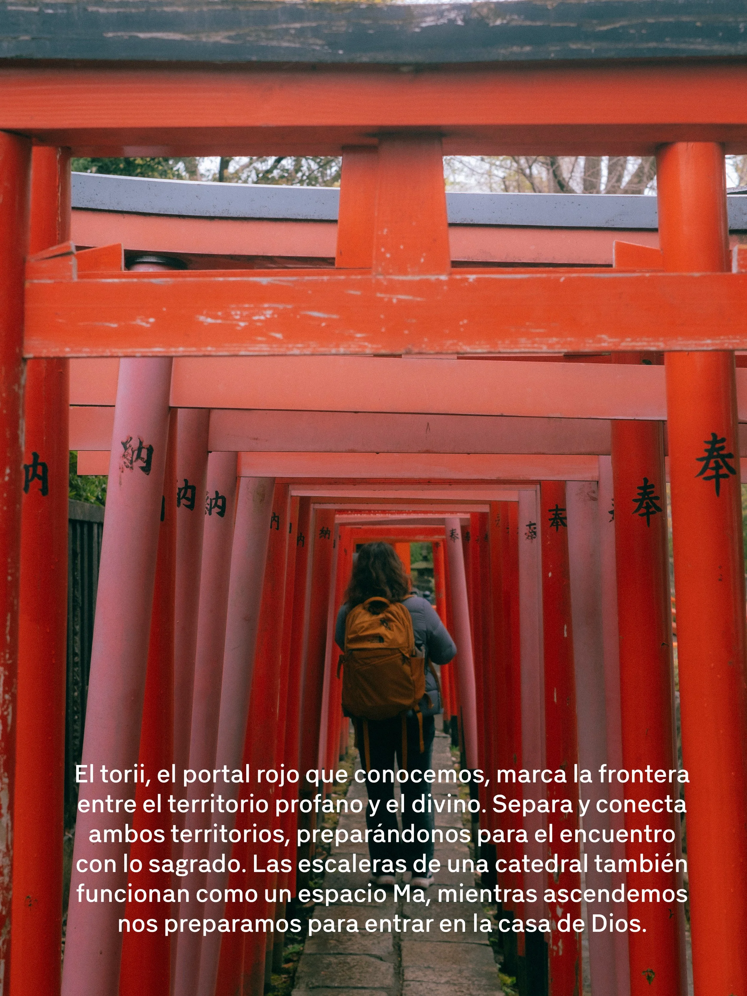 Filas de torii rojos en un camino, simbolizando la frontera entre lo profano y lo sagrado en un santuario sintoísta.