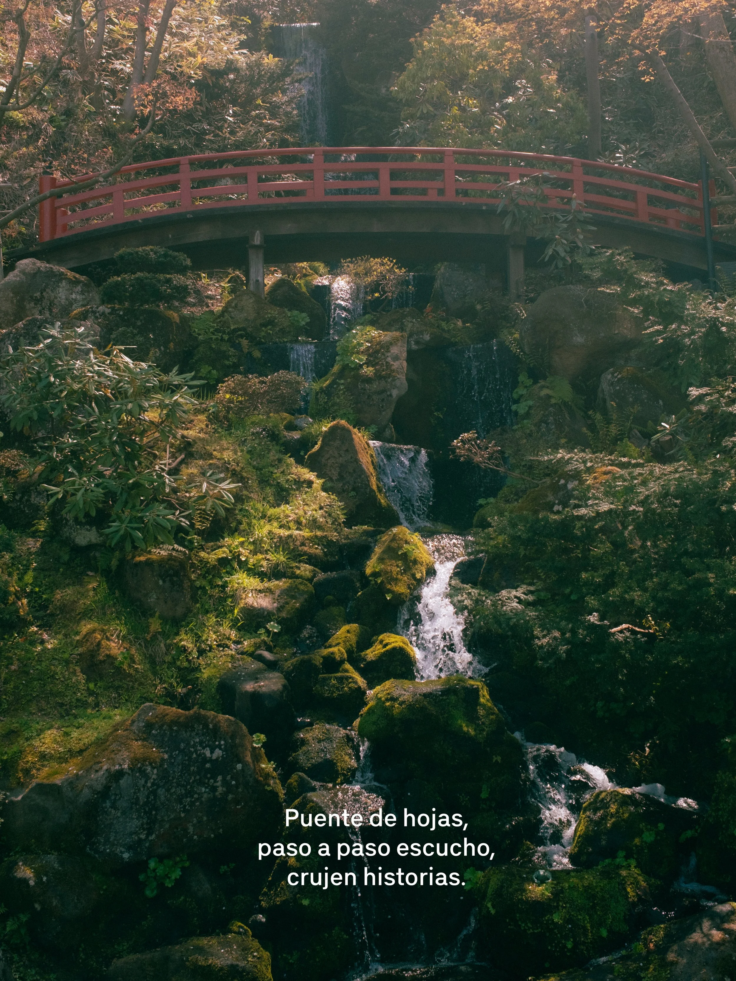 Un puente de hojas sobre un río rodeado de vegetación y rocas en un entorno natural.