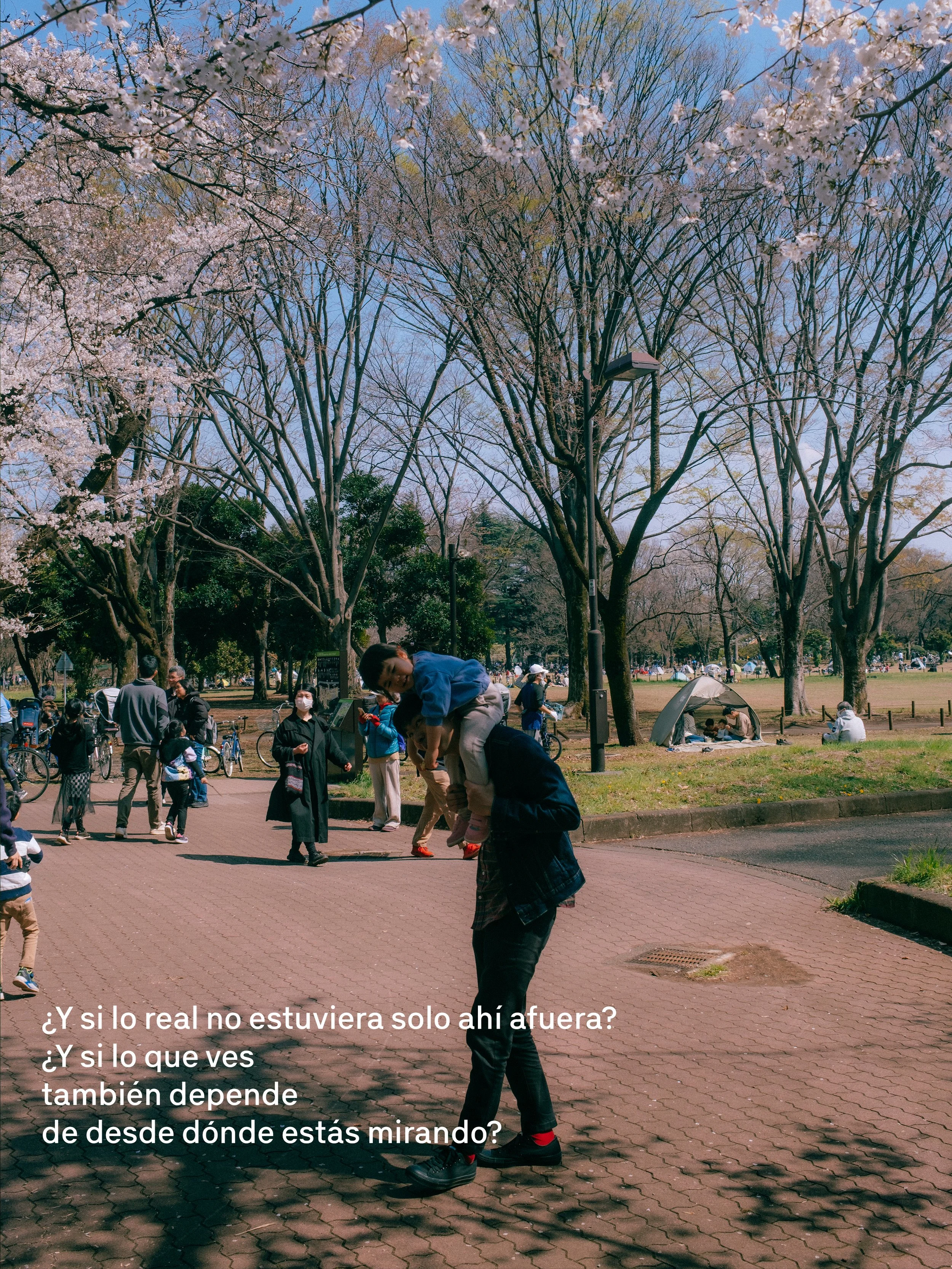 Personas en un parque con árboles en flor, algunas personas observando y otras conversando, un niño en los hombros de un adulto en primer plano, y un toldo en el césped con más personas. Texto en la imagen en español con reflexiones sobre la percepción de la realidad y la mirada.
