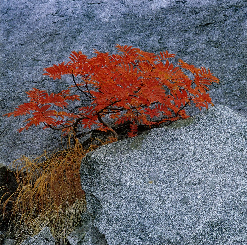 shinzo-maeda035.jpg