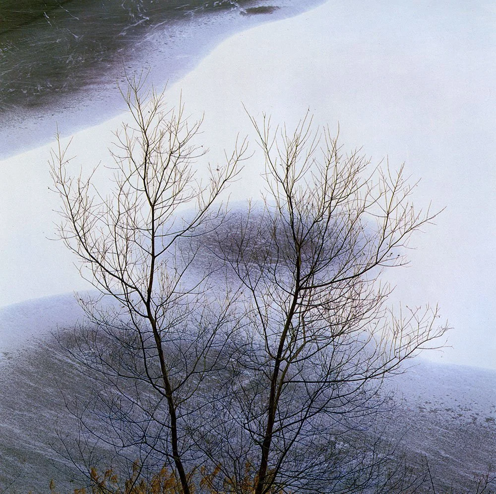 shinzo-maeda047 (1).jpg