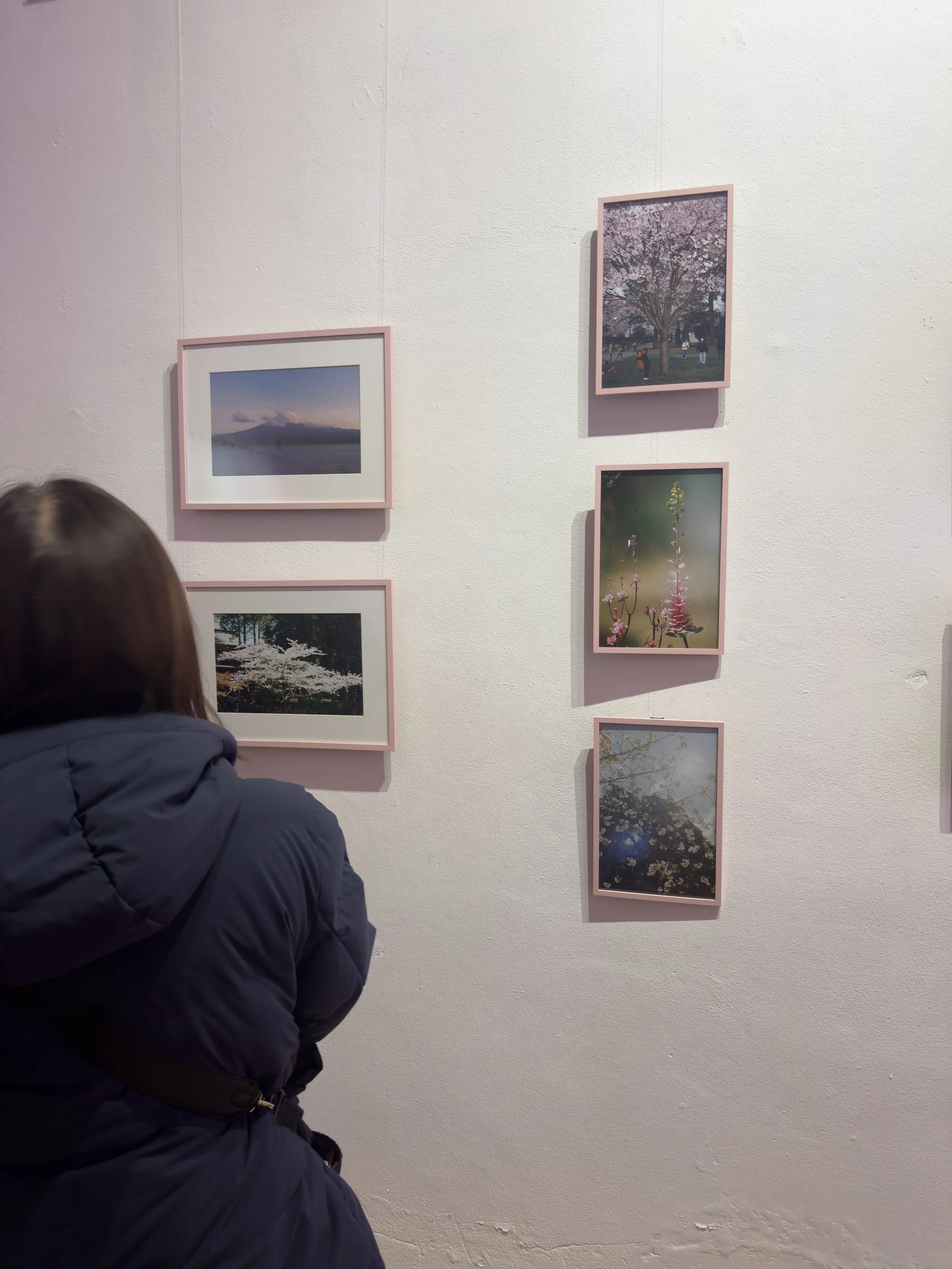 Persona observando fotografías en una galería de arte. 